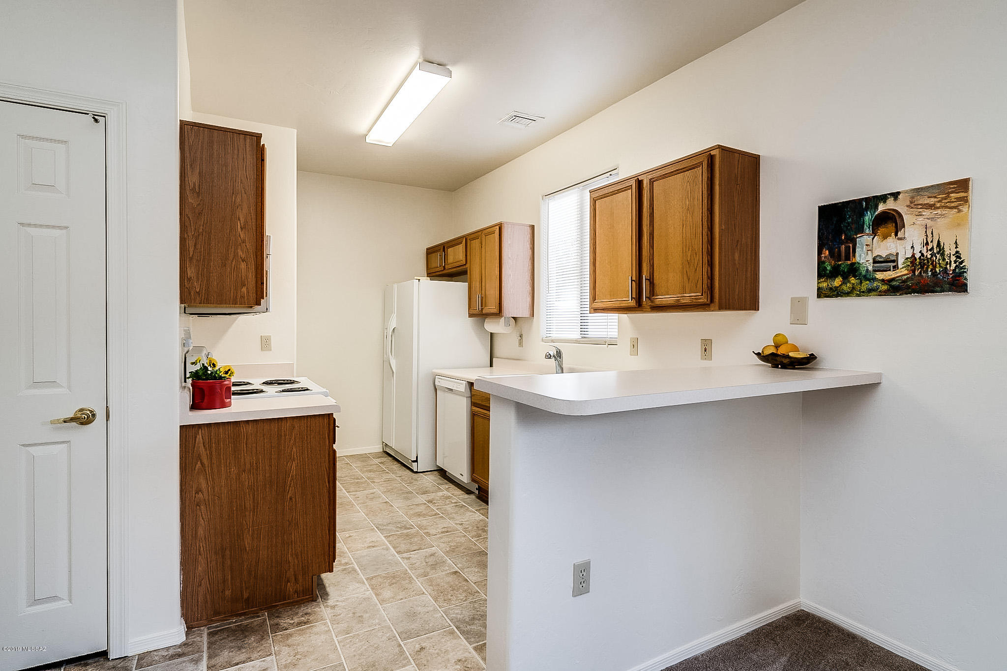 3788 S Camino Comica