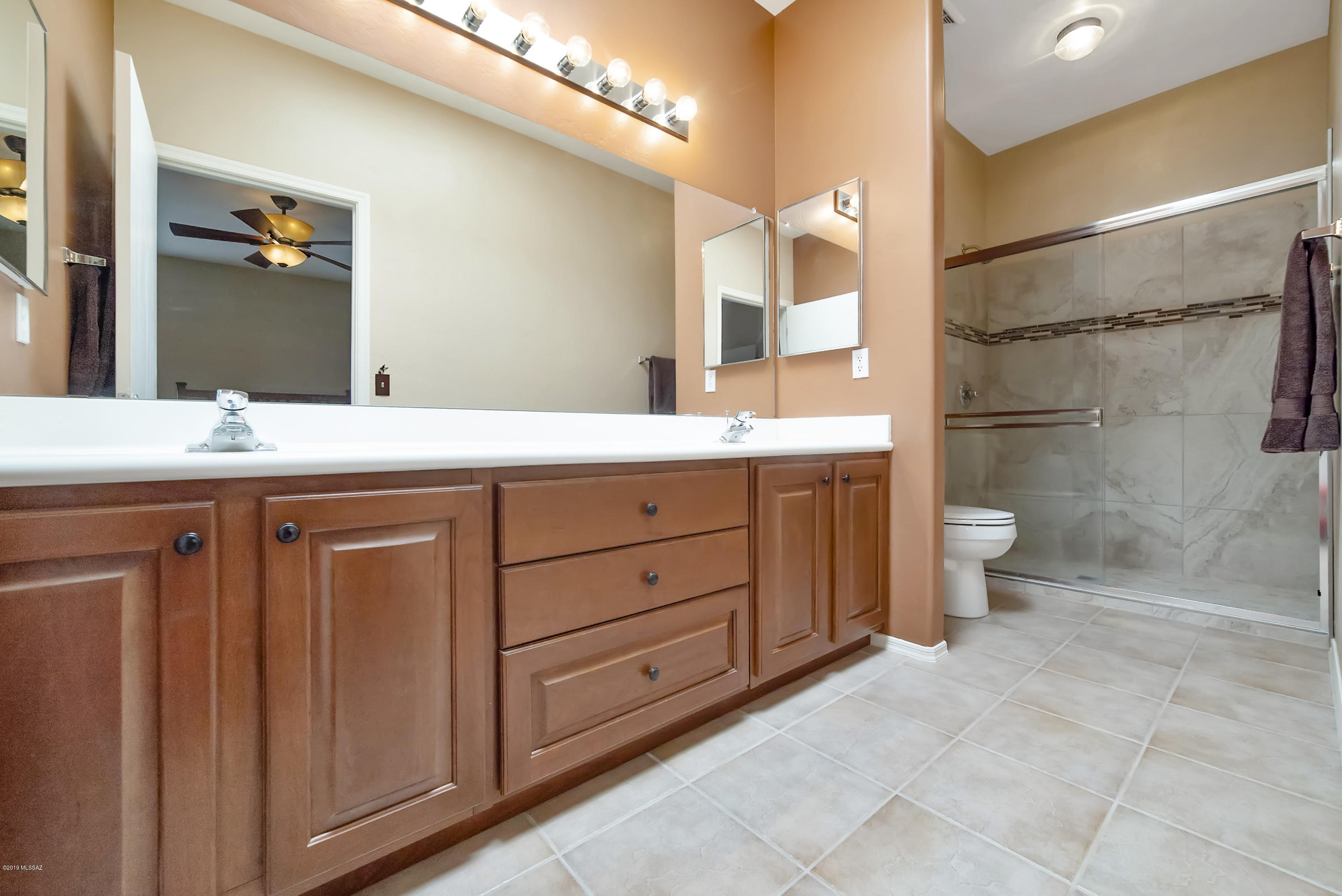 4619 S Camino Del Tejon