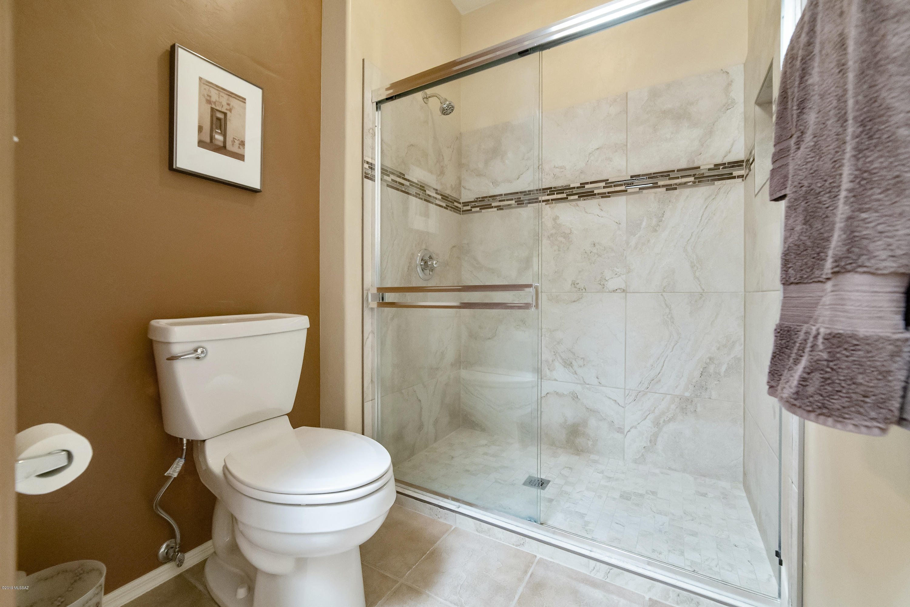 4619 S Camino Del Tejon