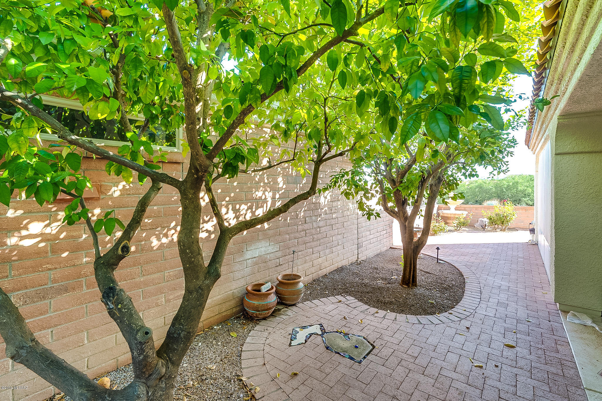 1917 W Mintbush Drive