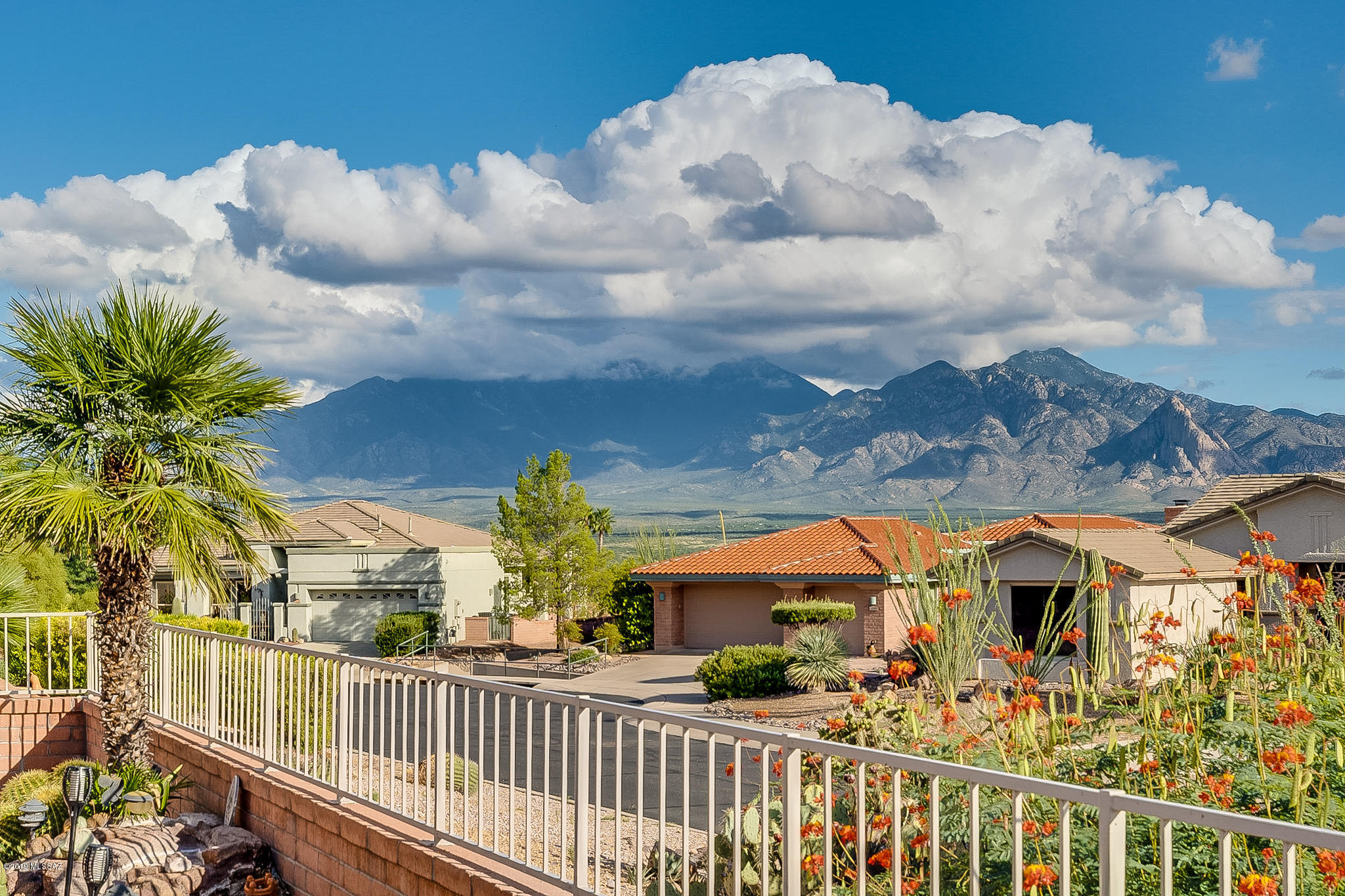 1917 W Mintbush Drive