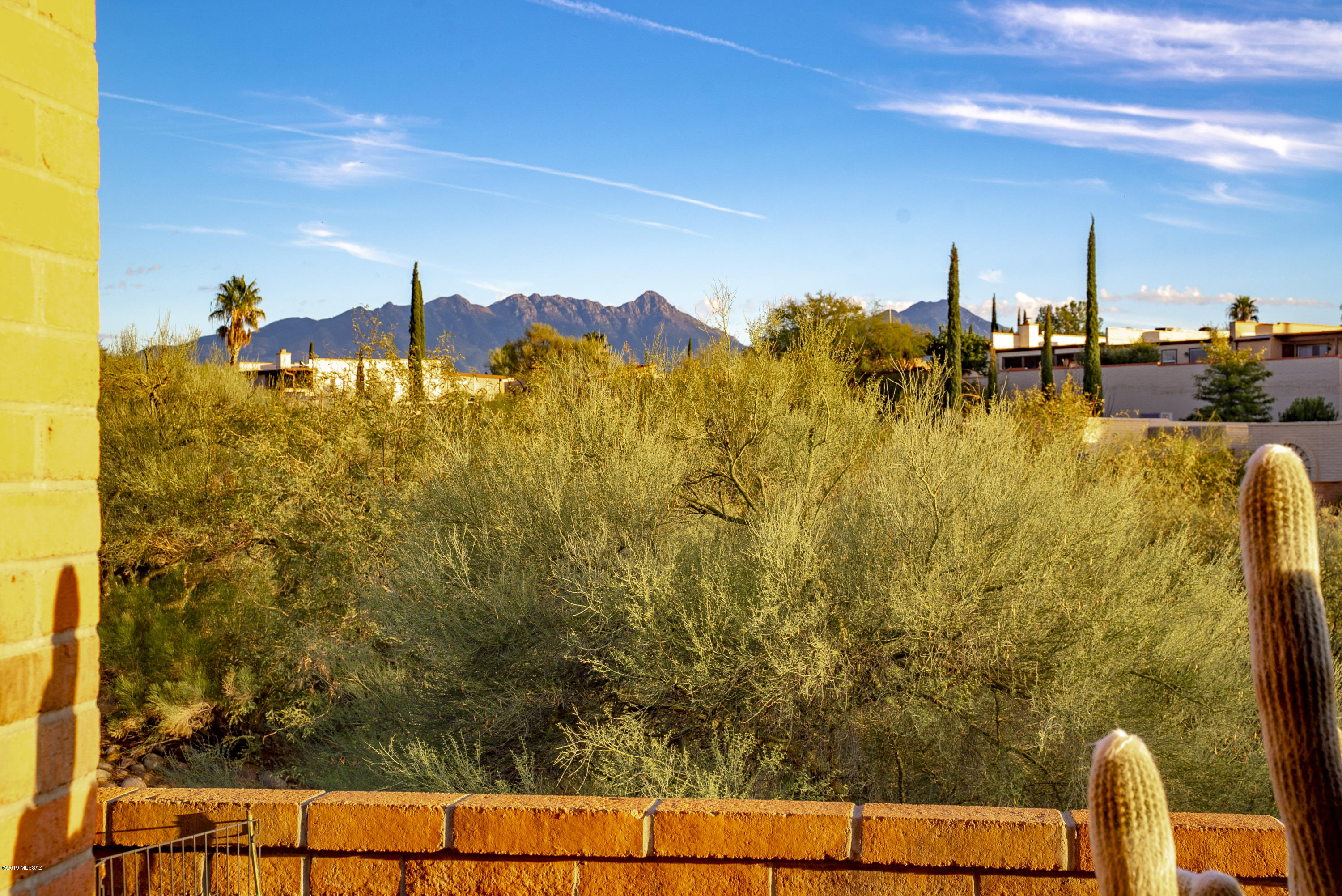 2525 S Calle Del Dante