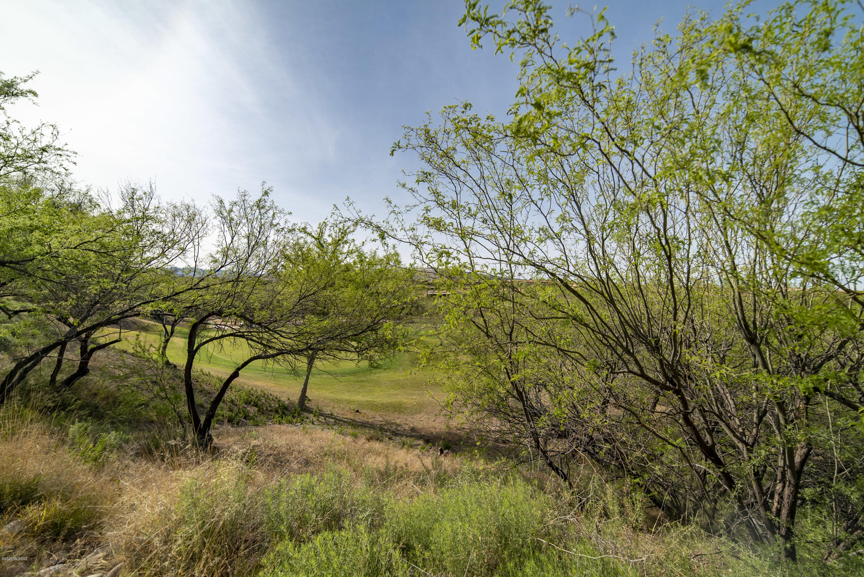 1770 W Camino Estelar