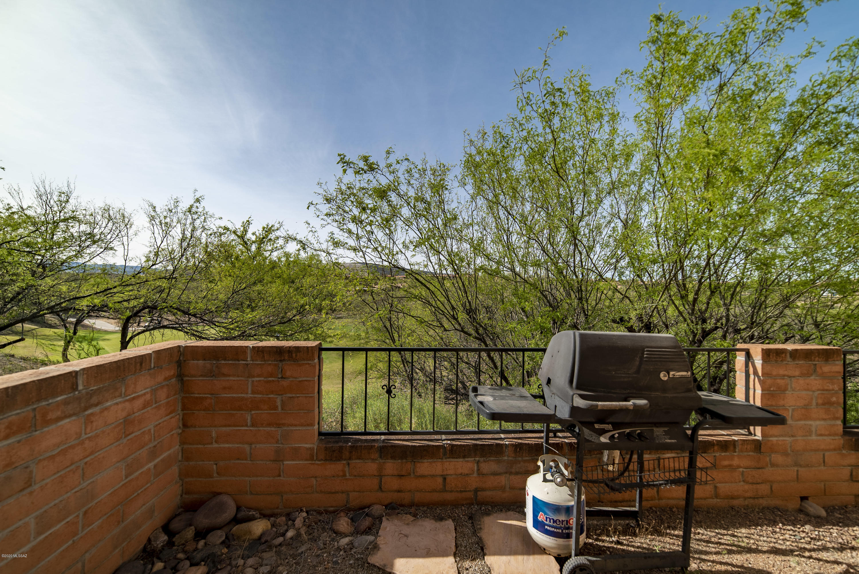 1770 W Camino Estelar
