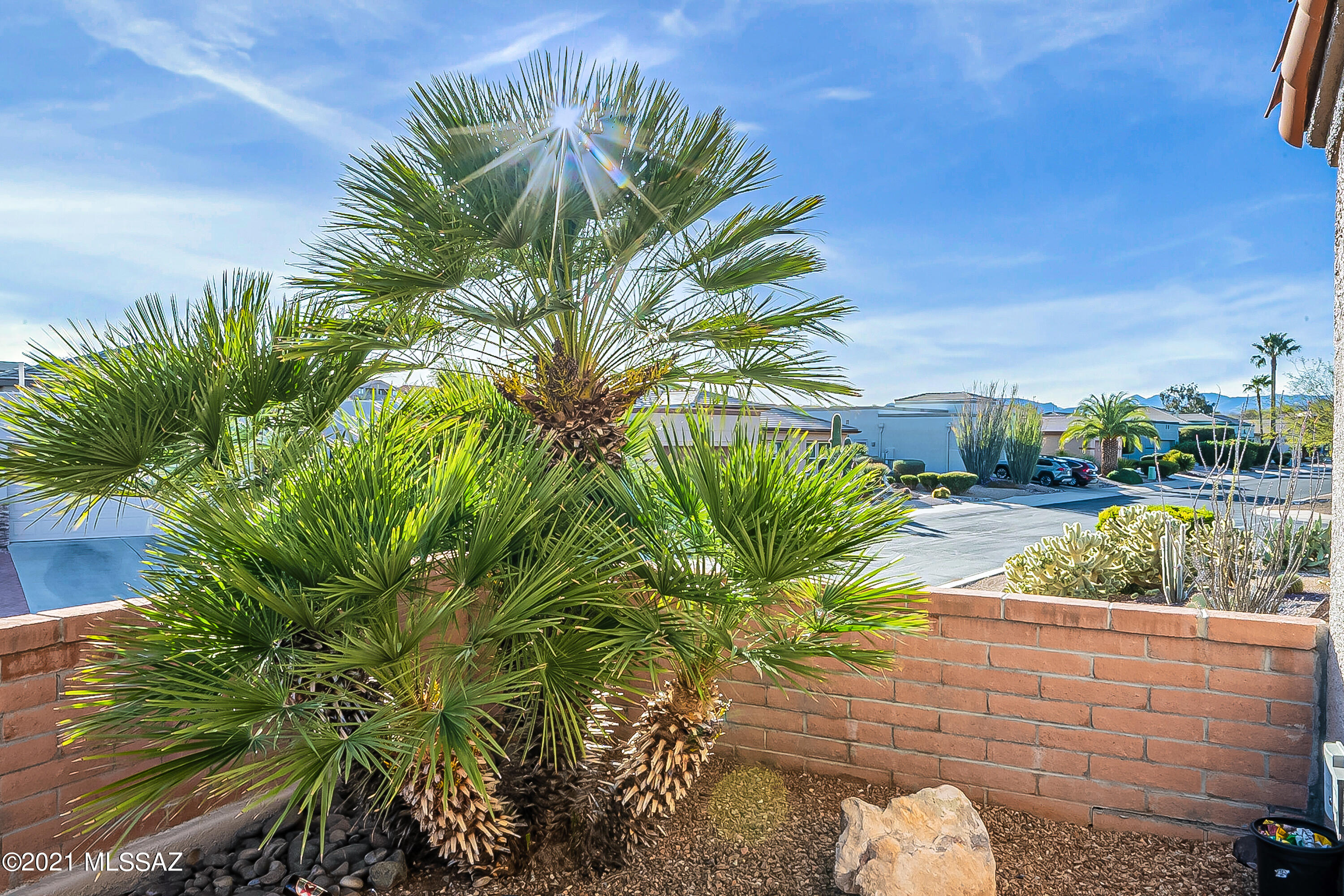 1981 W Mintbush Drive