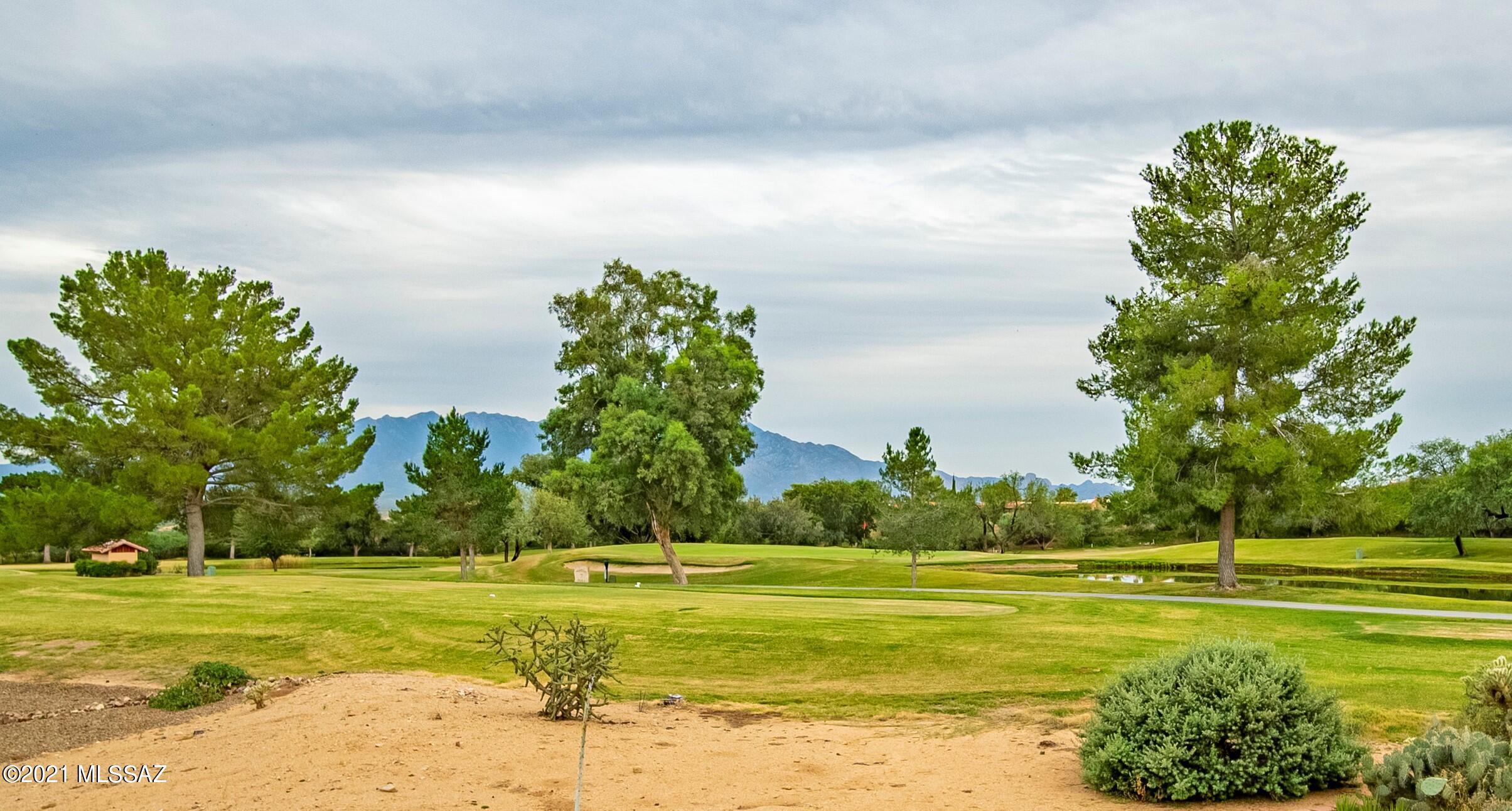 741 W Placita De La Cotonia