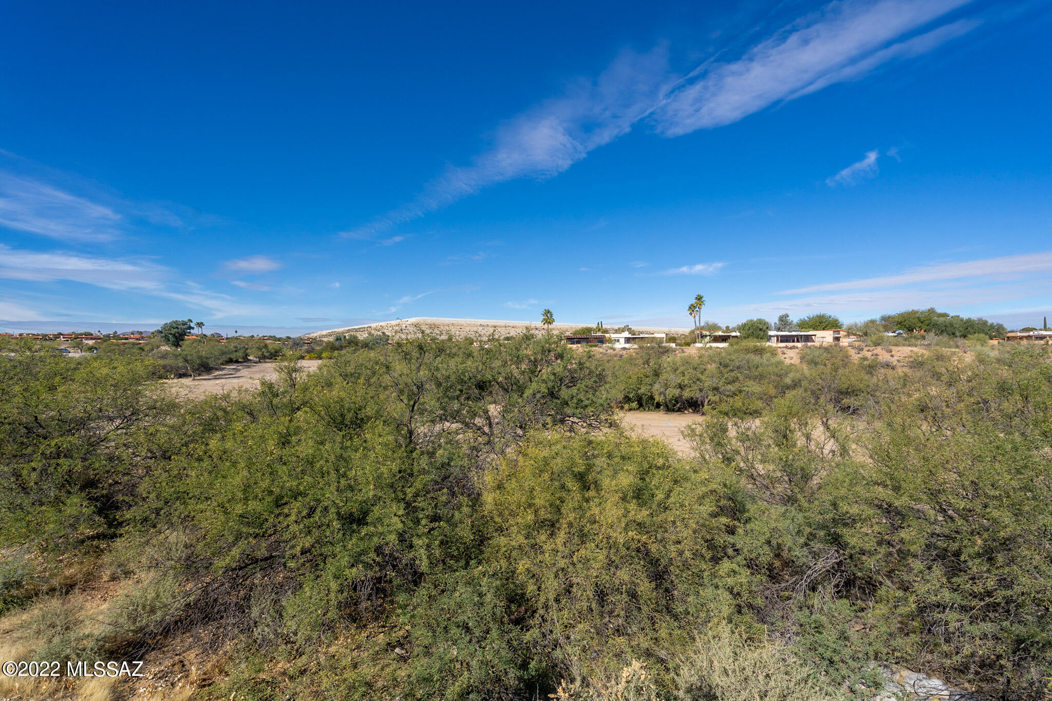 1240 W Camino Urbano