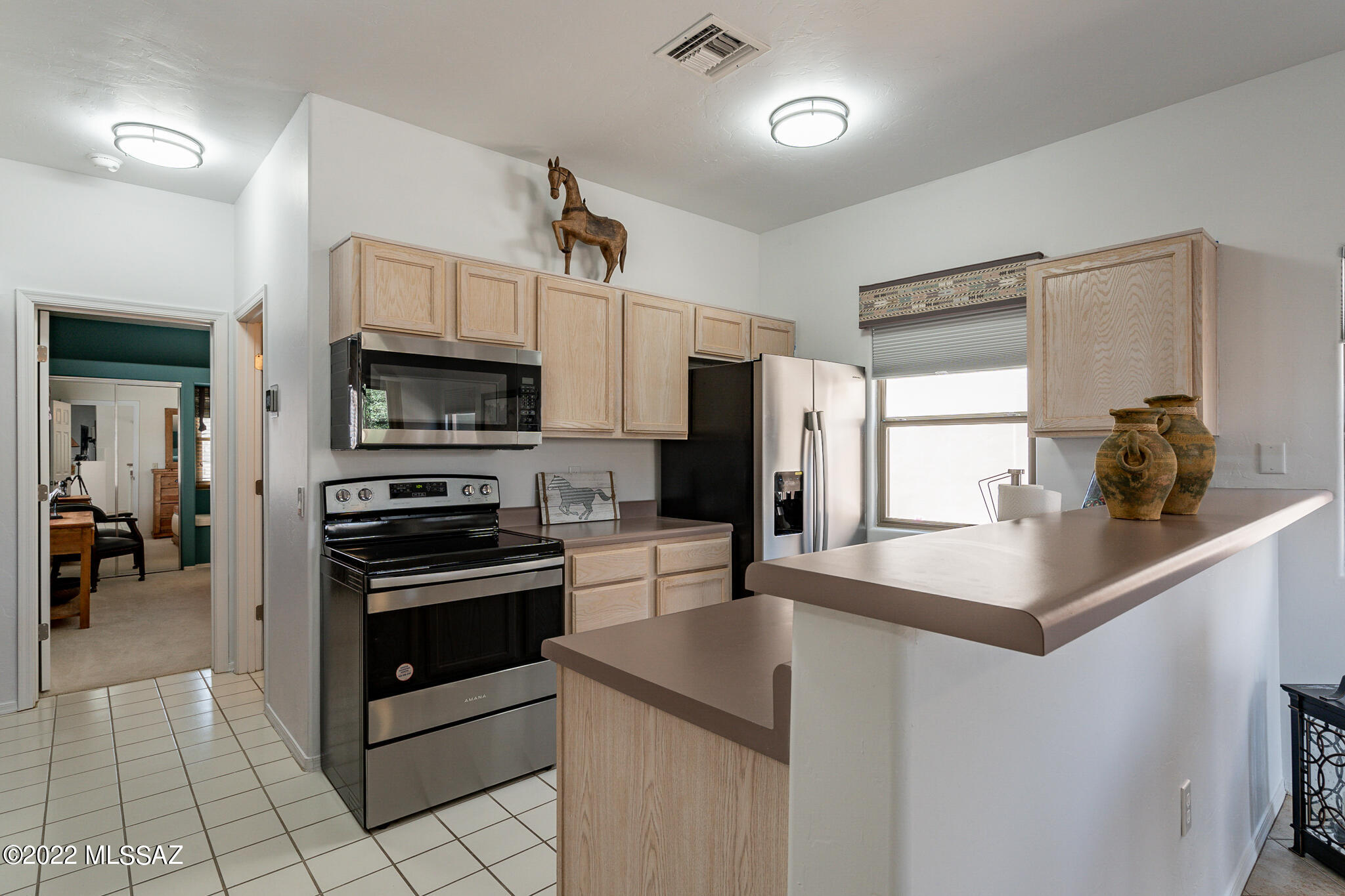 3789 S Calle Rambles