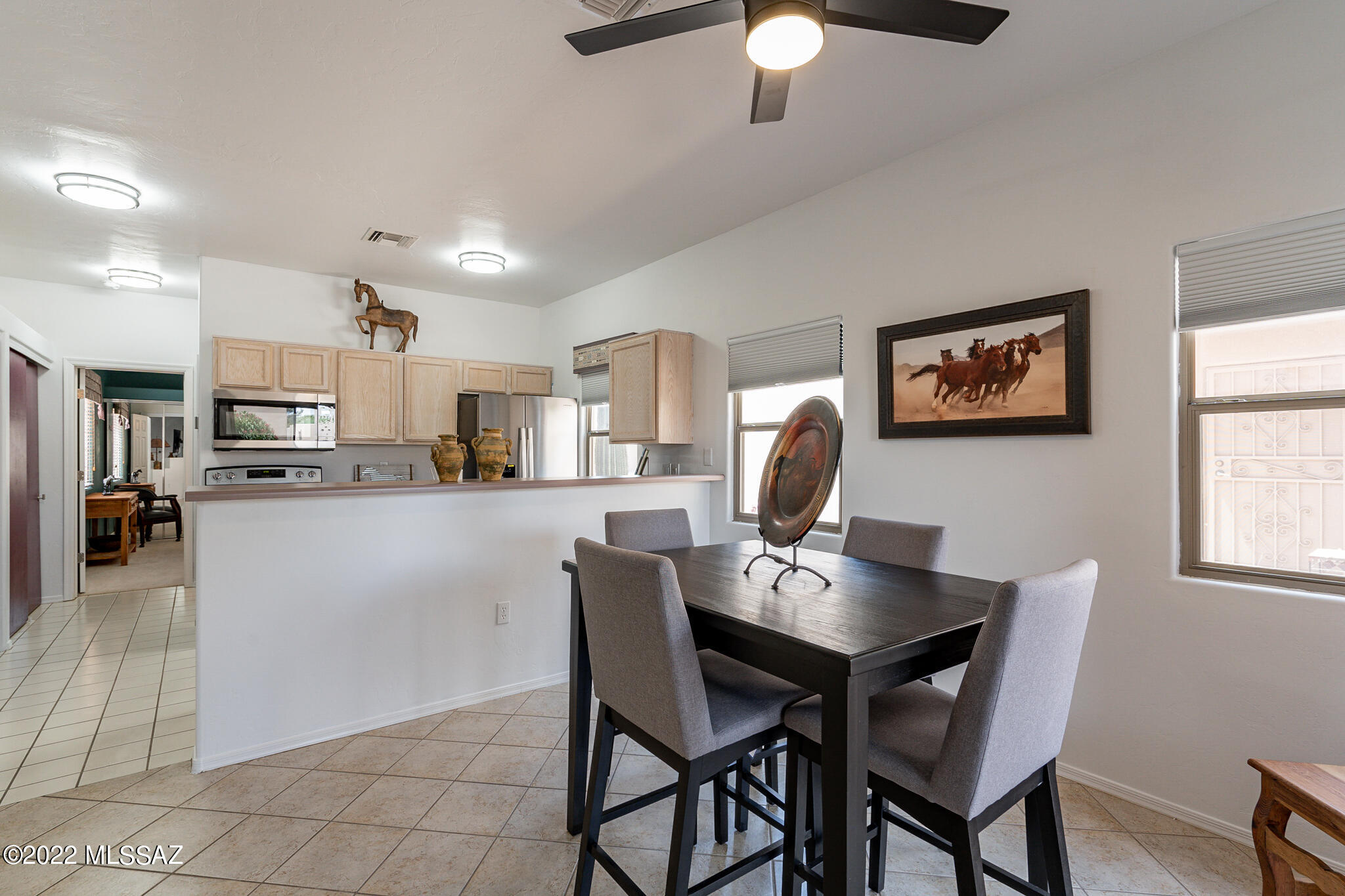 3789 S Calle Rambles