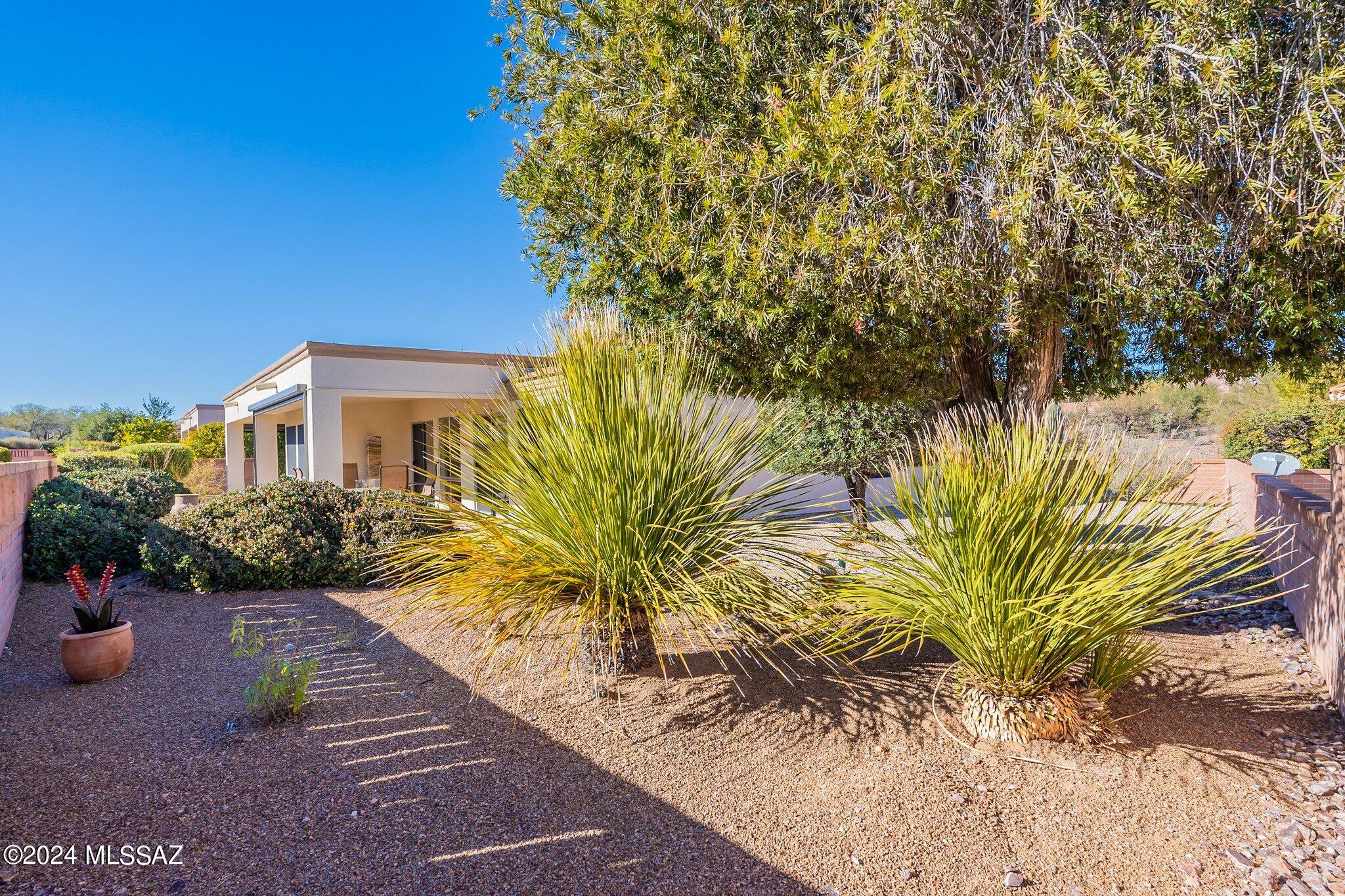 1465 W Desert Jewel Court