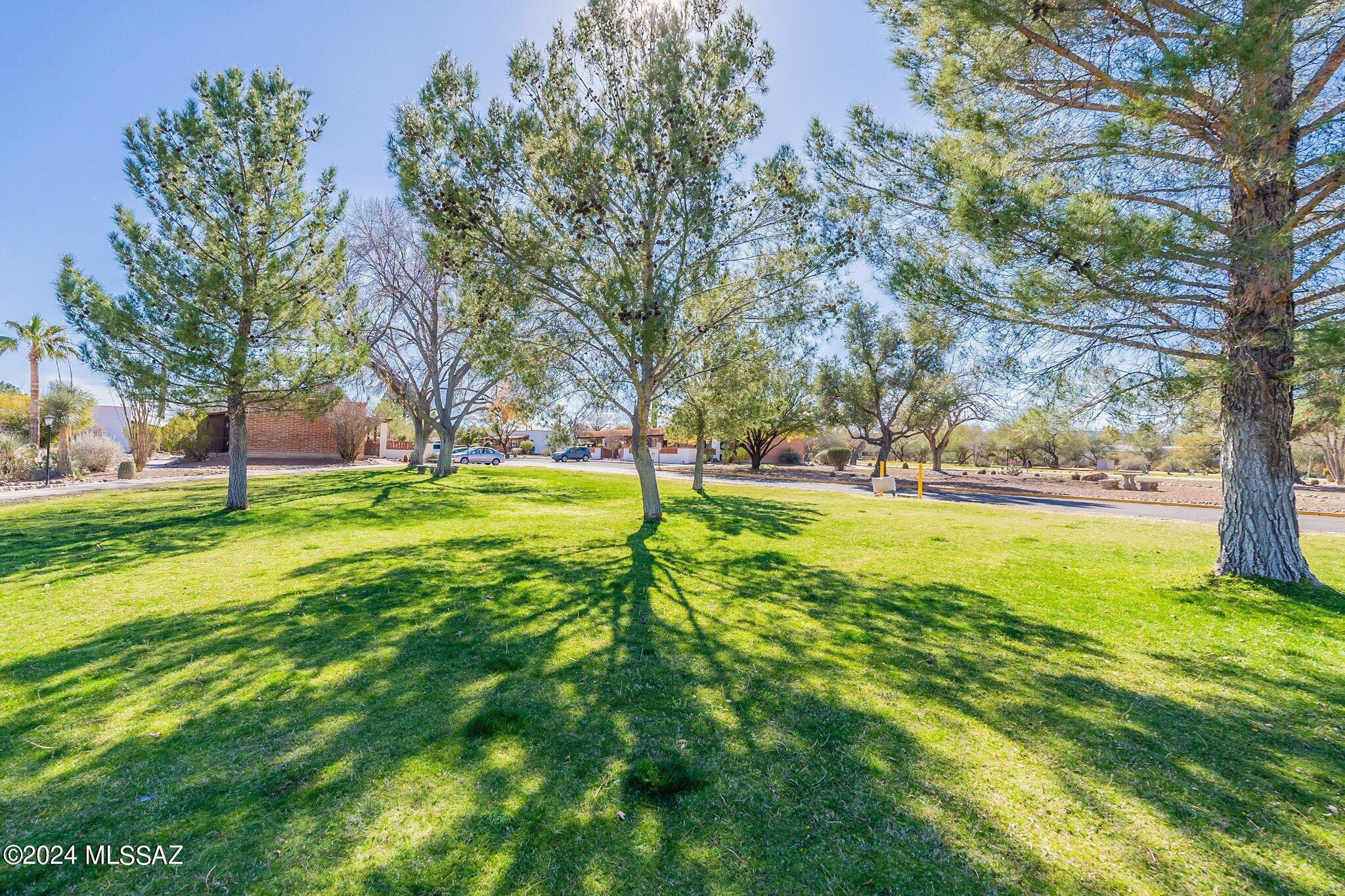 103 S Paseo Tierra Unit: D