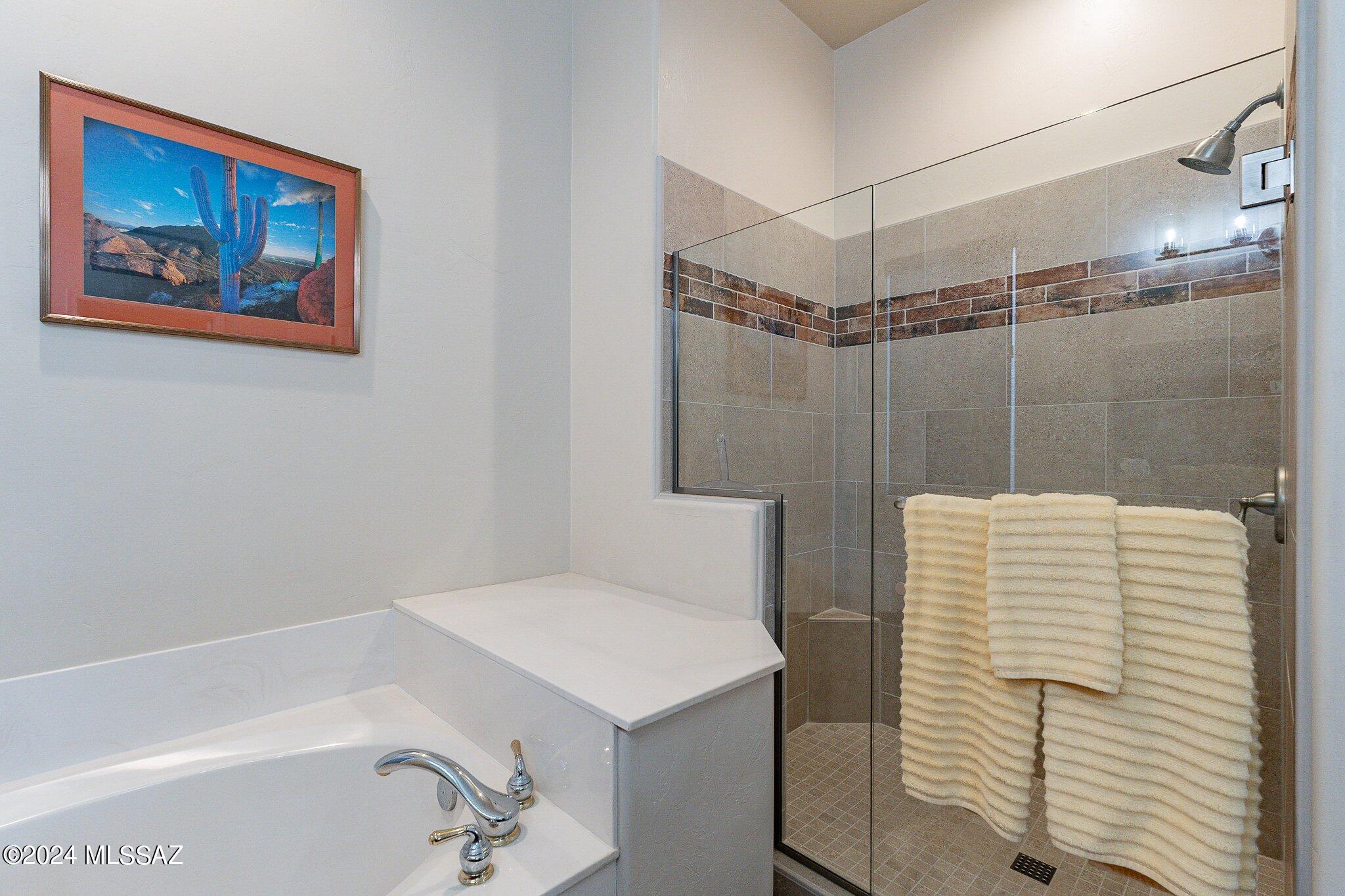 1871 W Placita Canoa Azul