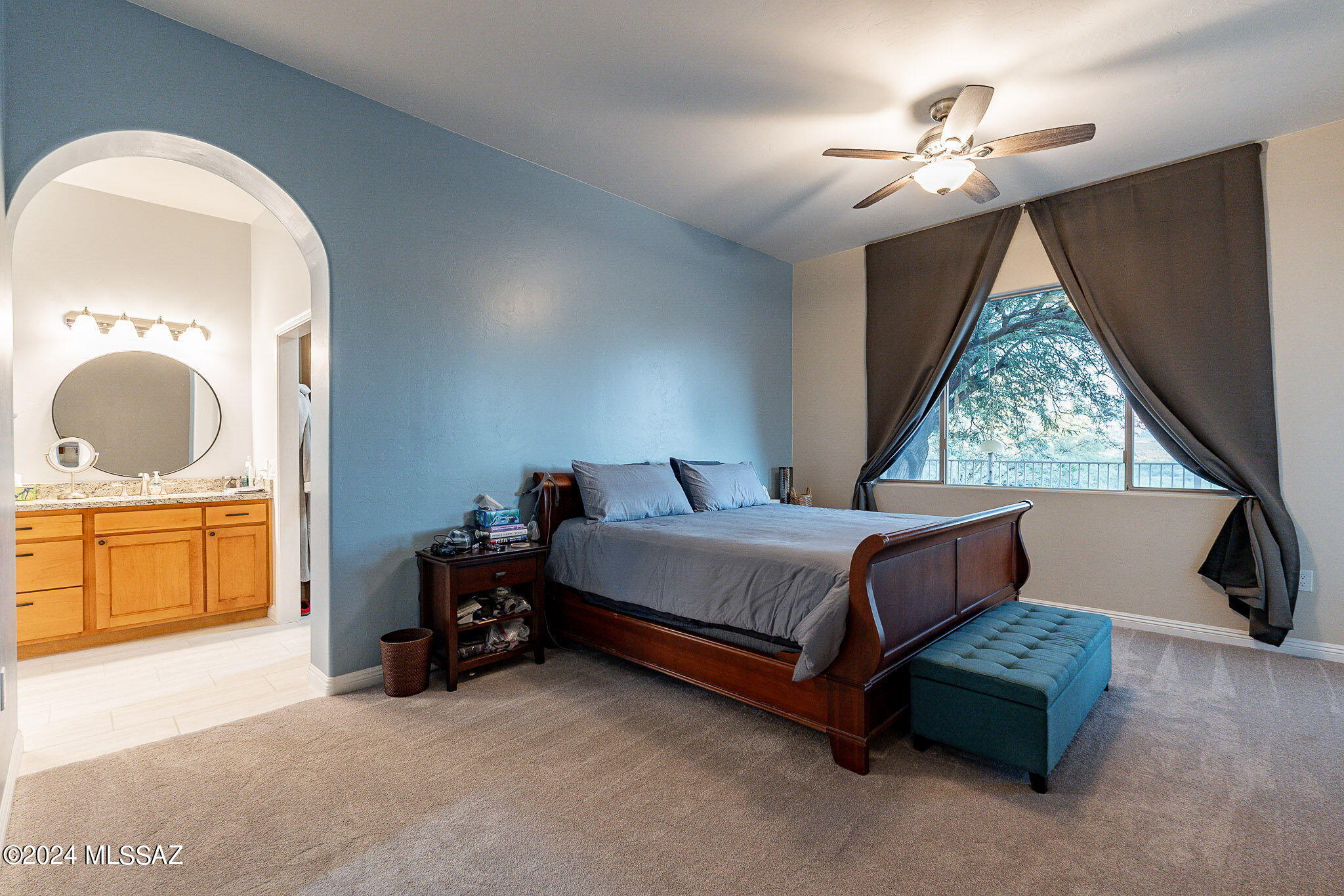 1745 W Placita Canoa Azul