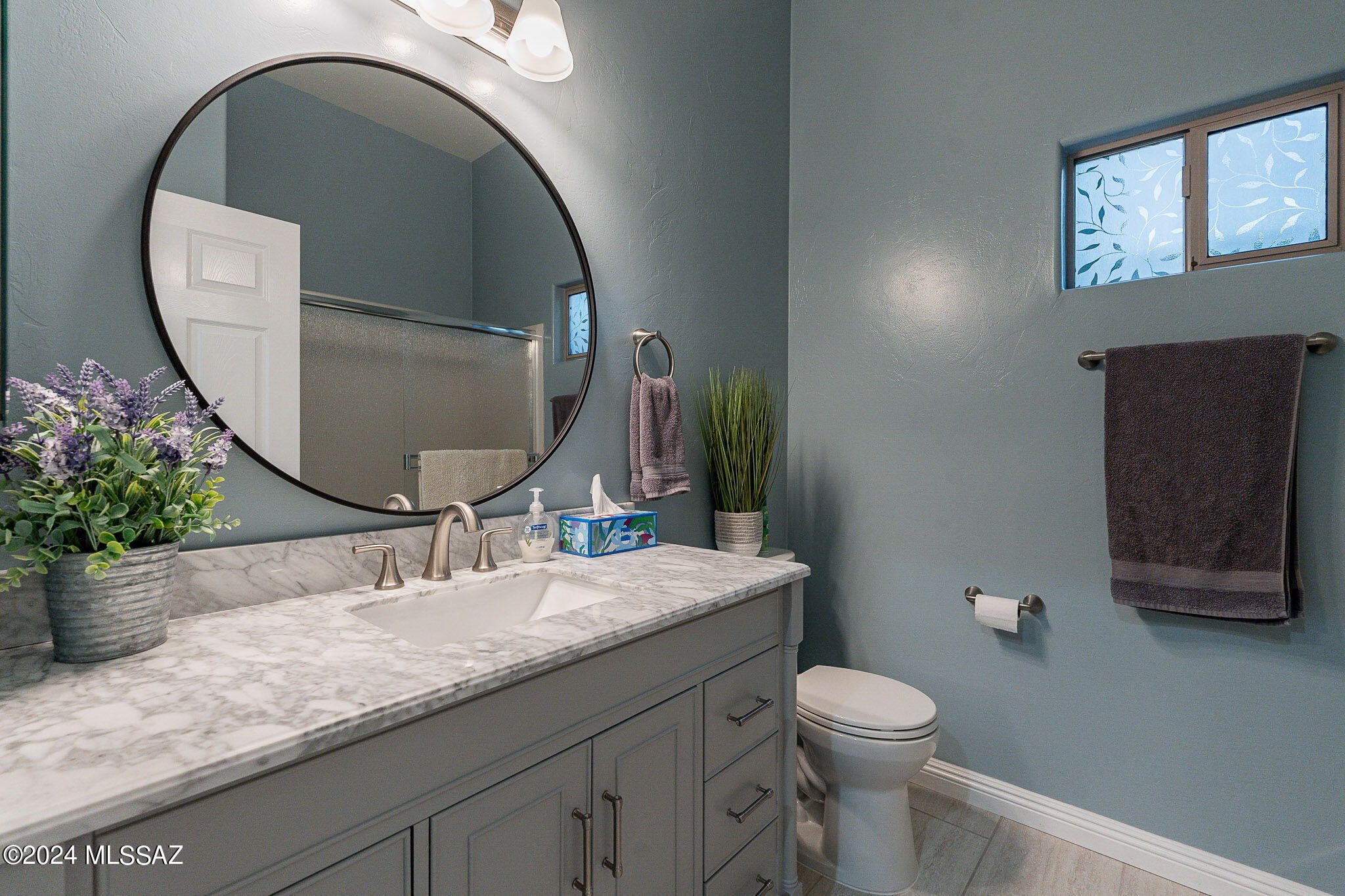 1745 W Placita Canoa Azul