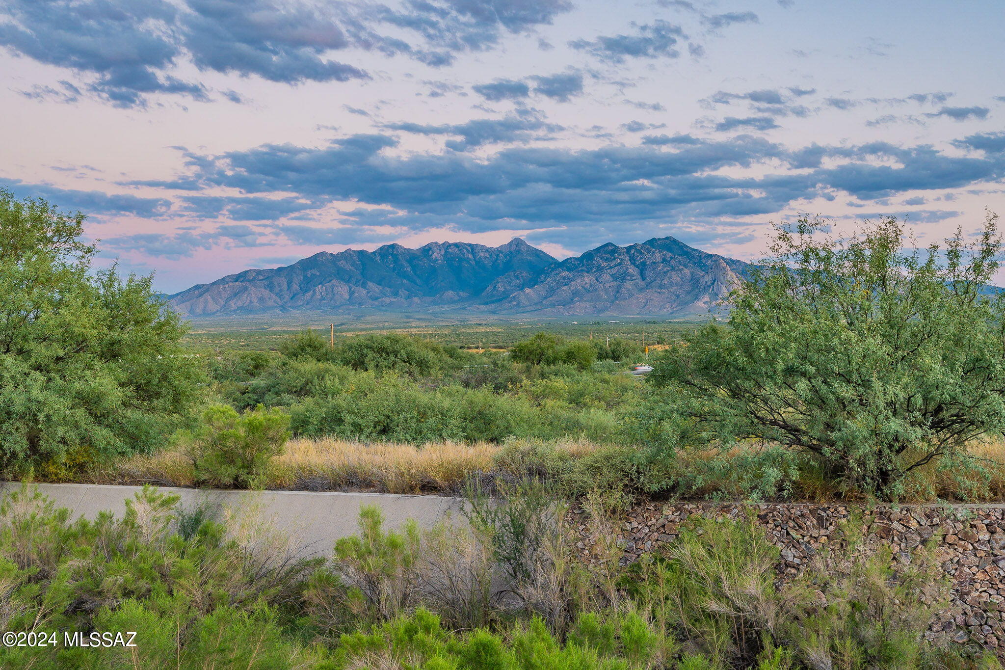 1745 W Placita Canoa Azul