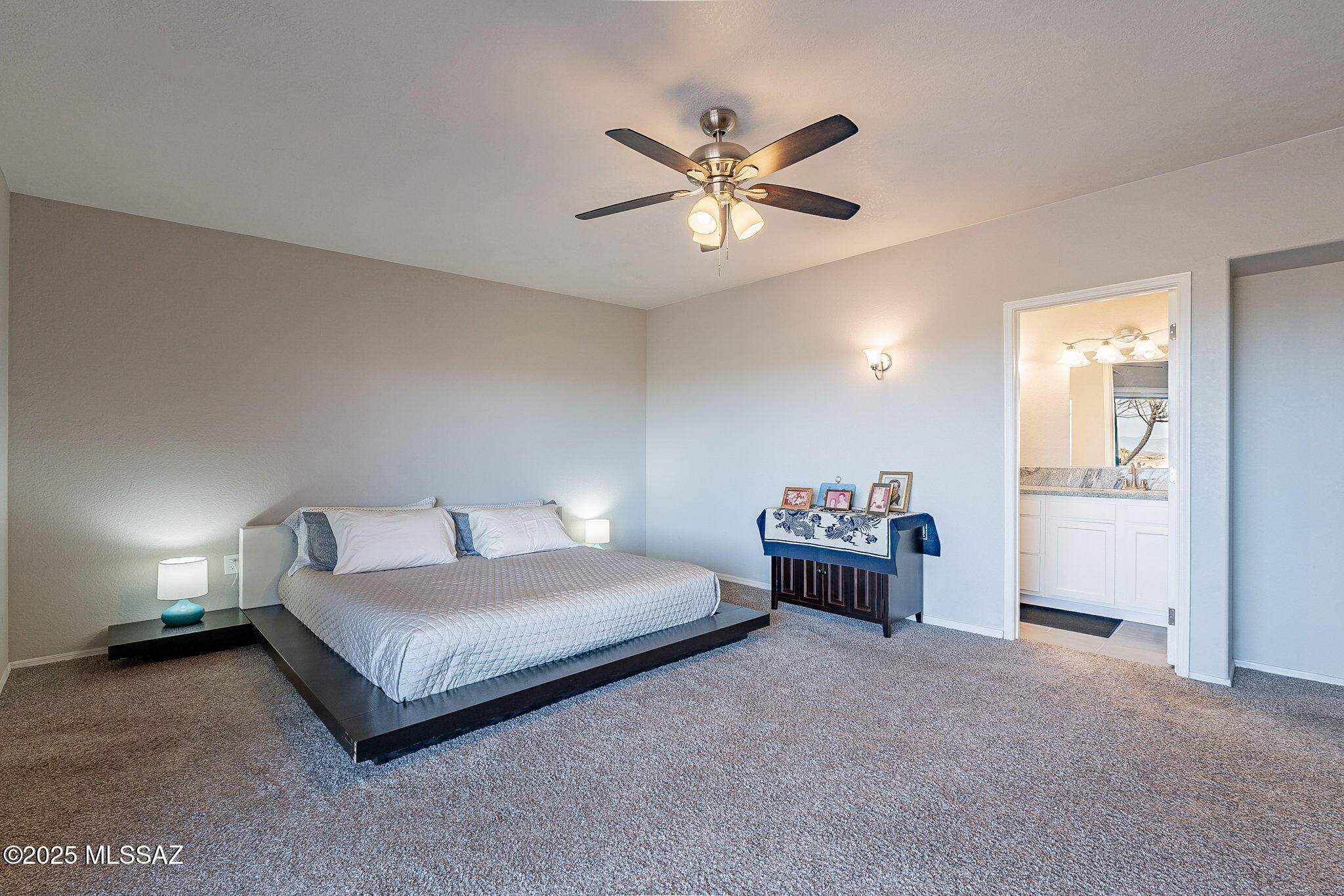 1456 W Camino De La Oca