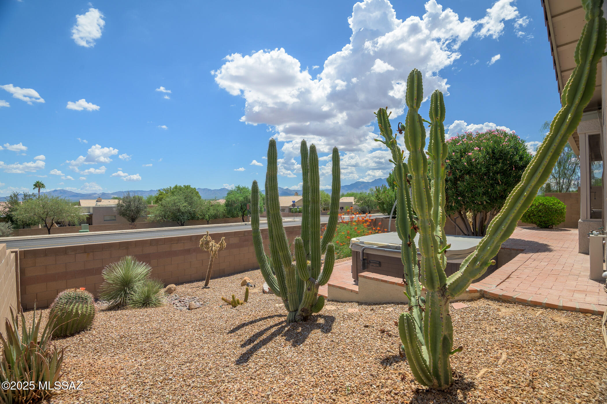 2274 N Avenida Del Petalo