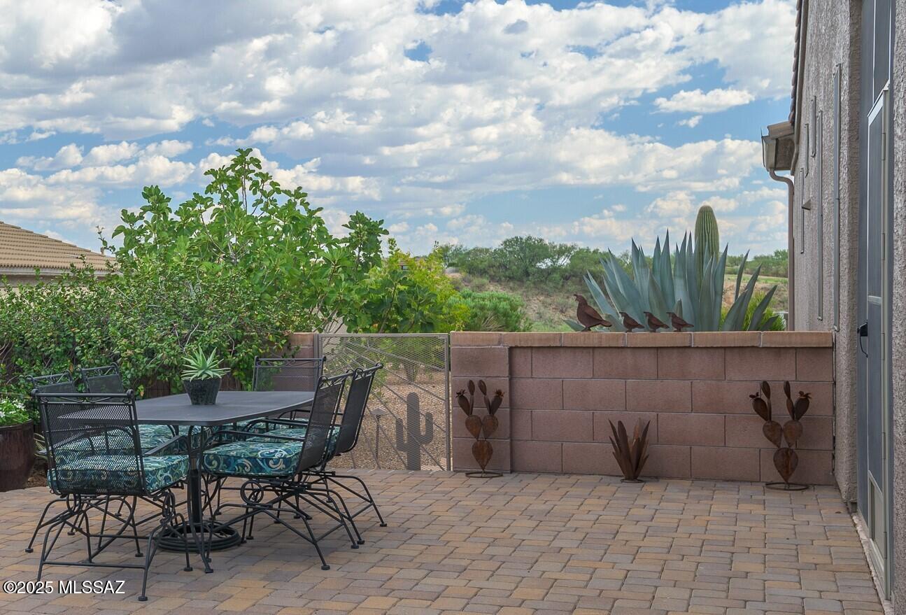 2296 W Calle Cacillo