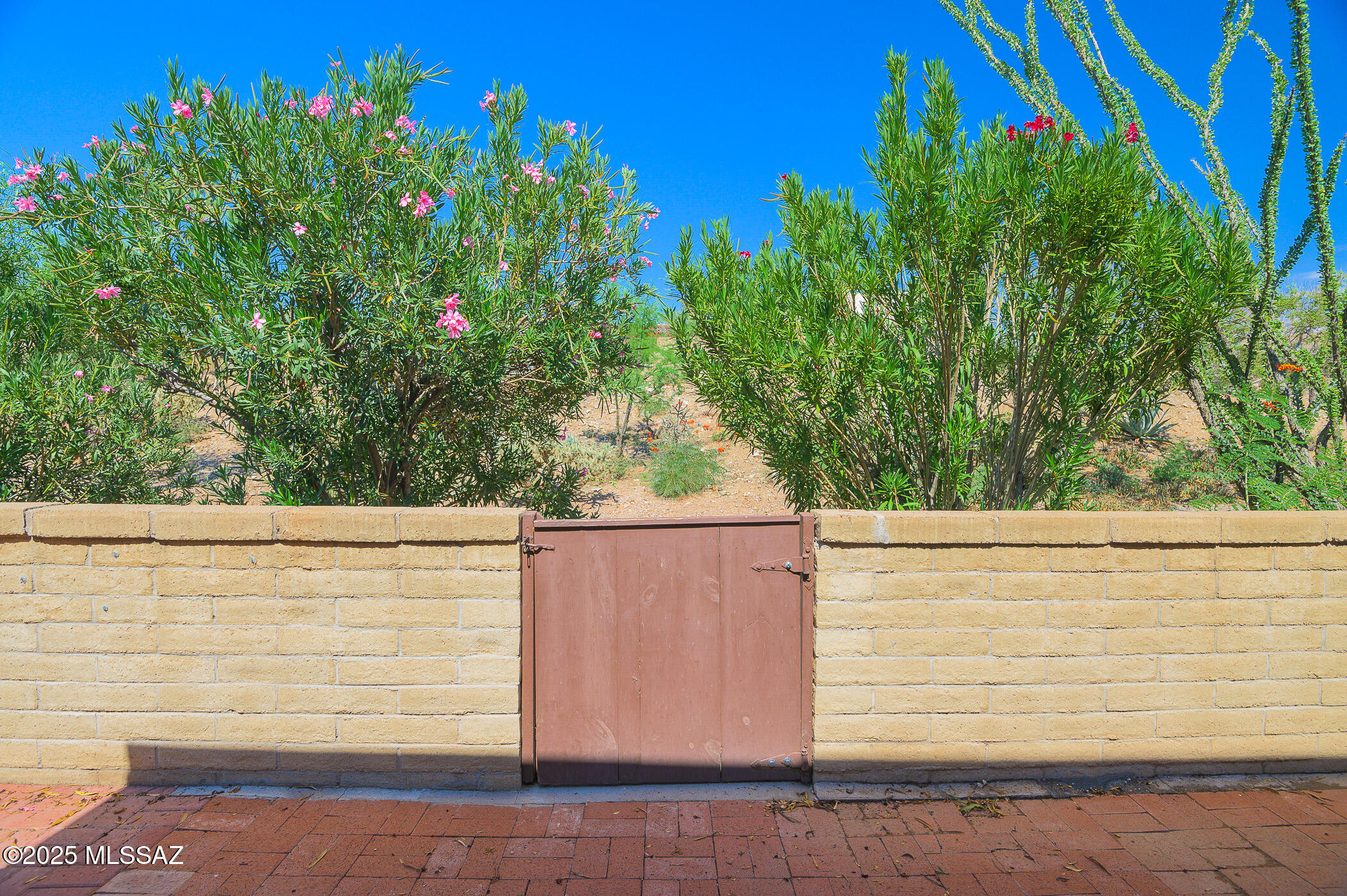 2882 S Camino Pansa