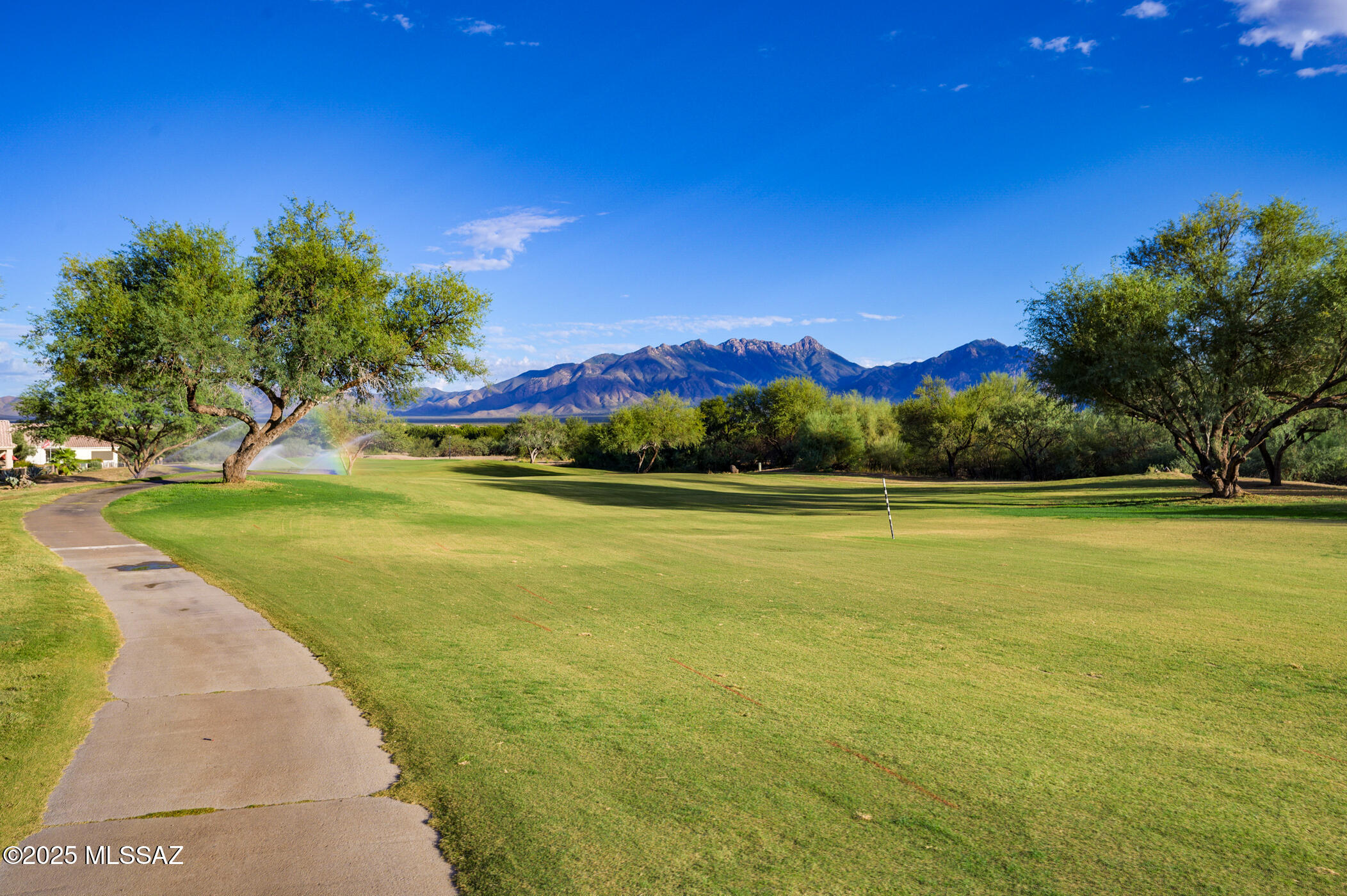 336 W Sunrise Vista Drive