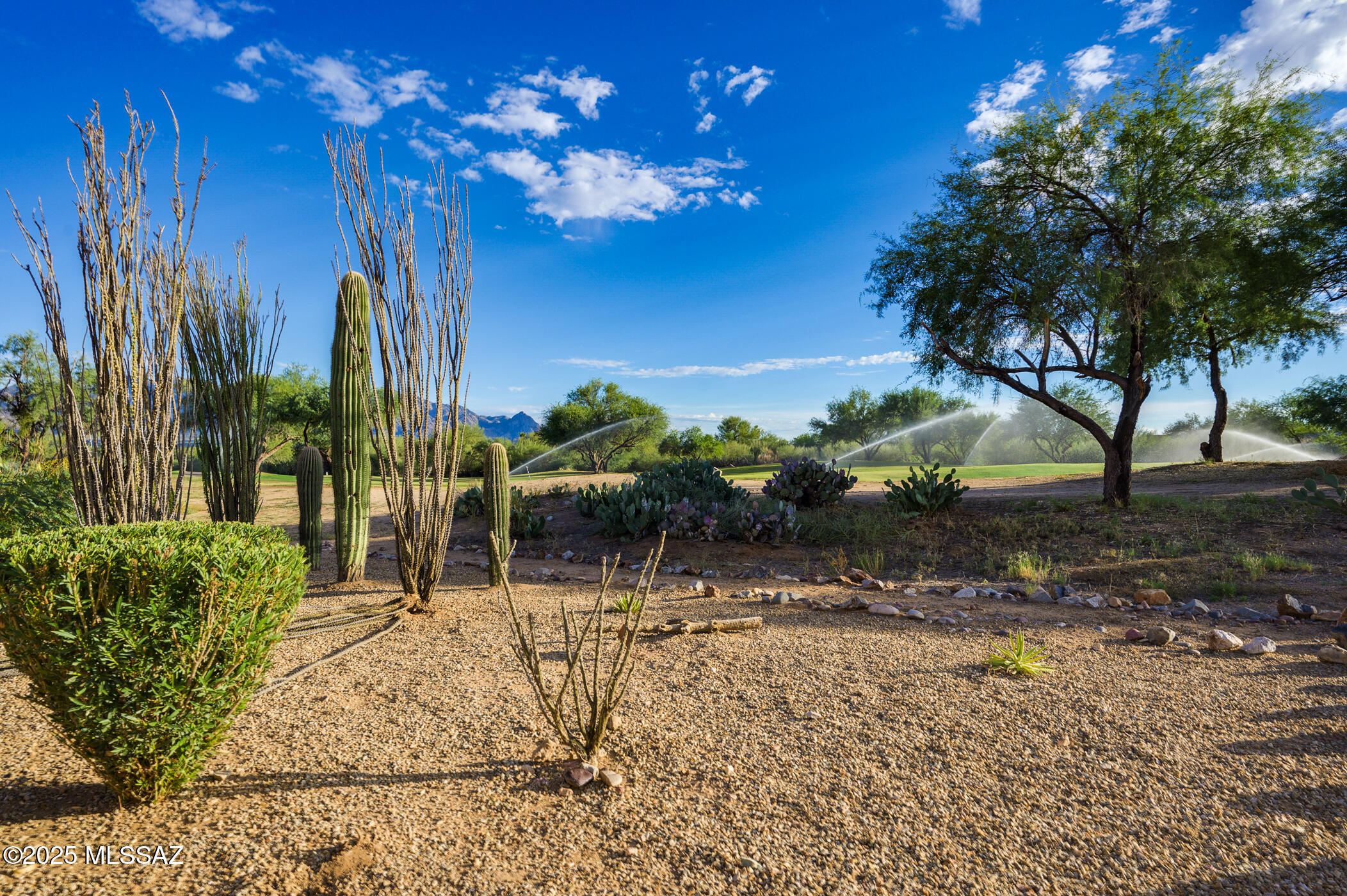 336 W Sunrise Vista Drive