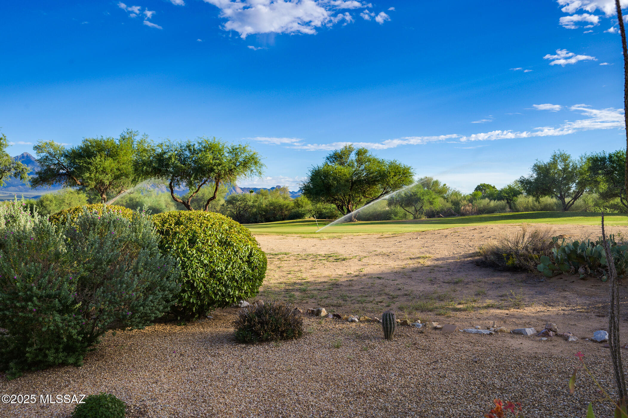 336 W Sunrise Vista Drive