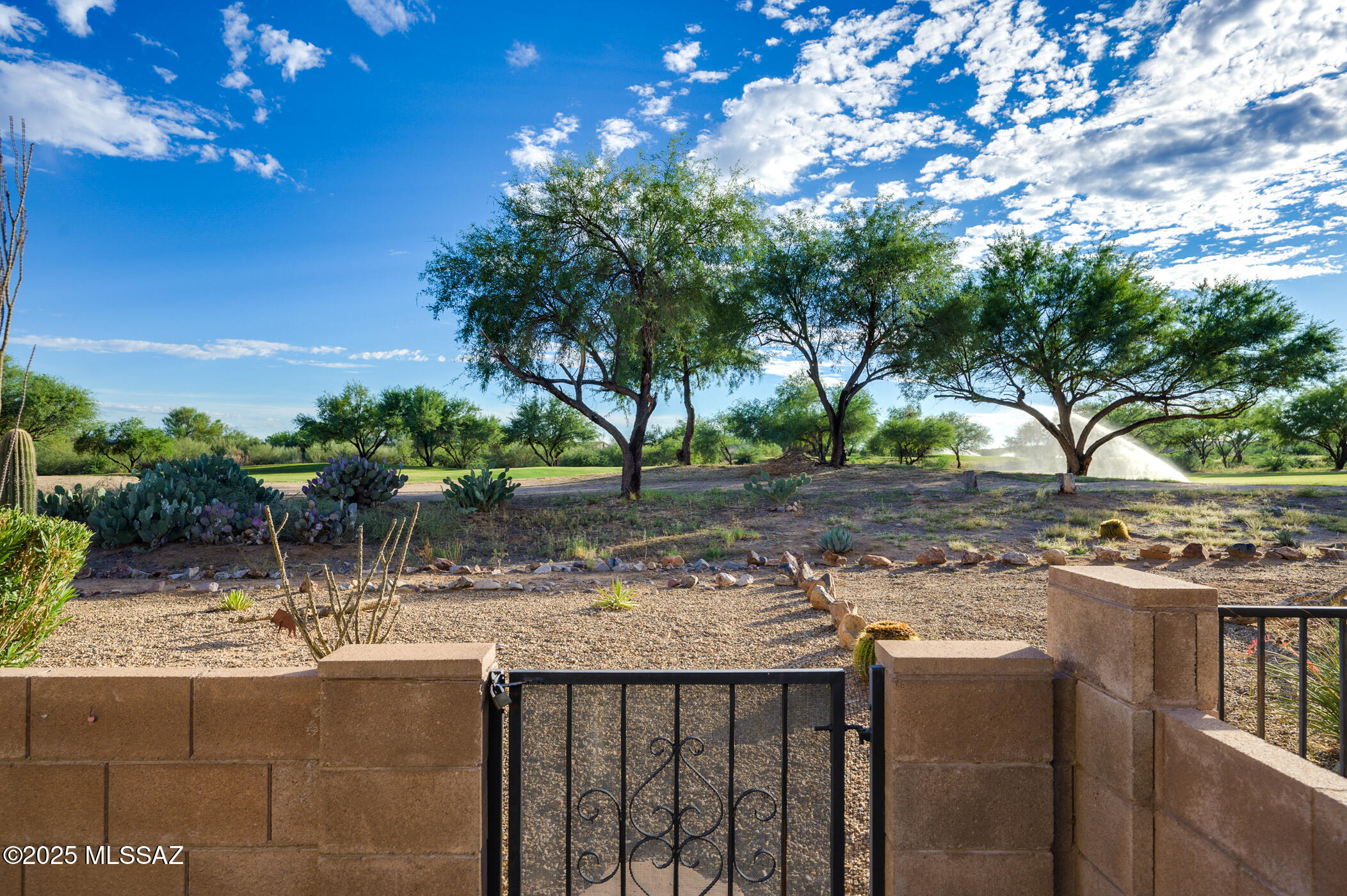 336 W Sunrise Vista Drive