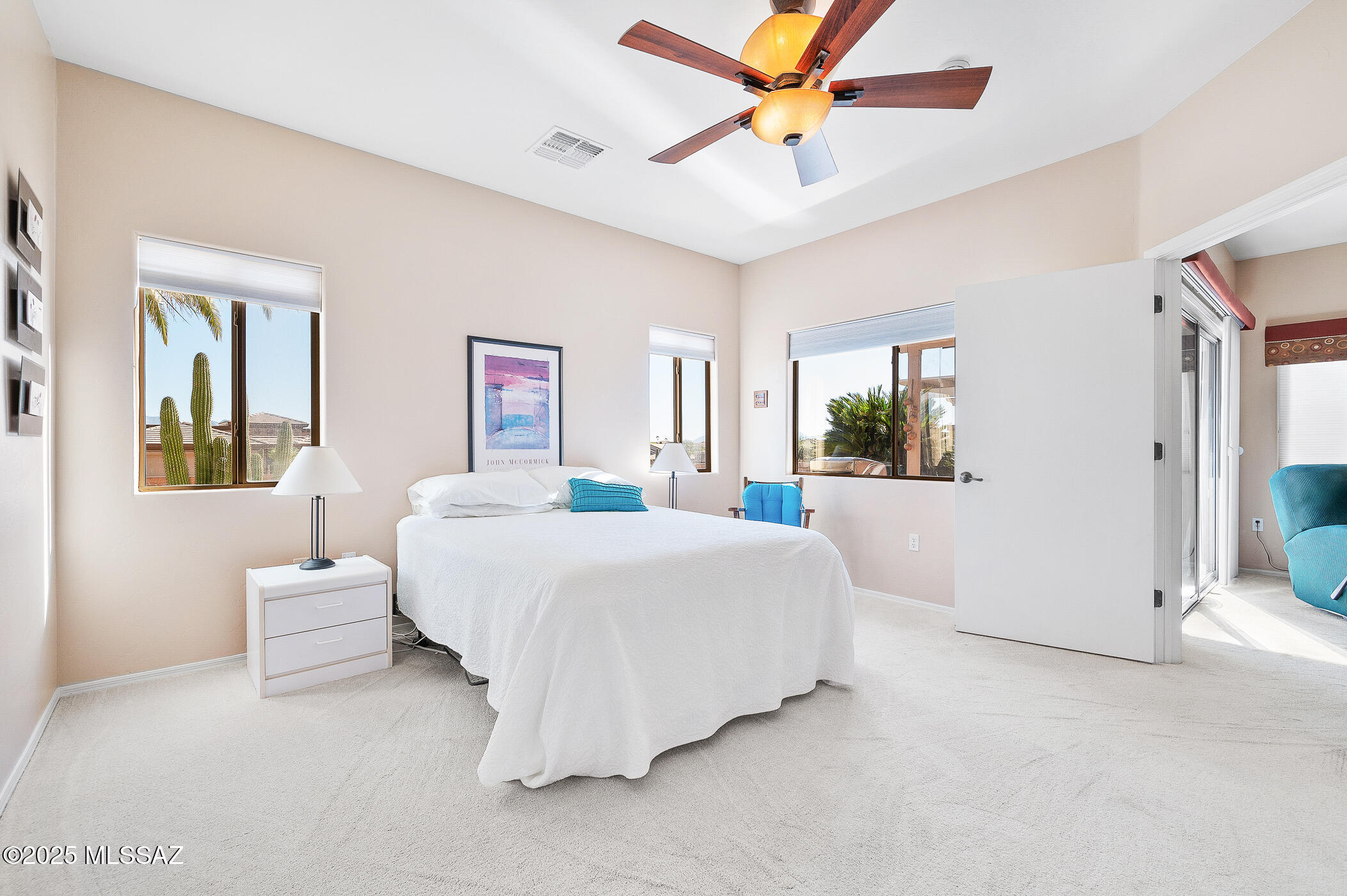 4619 S Camino Del Tejon