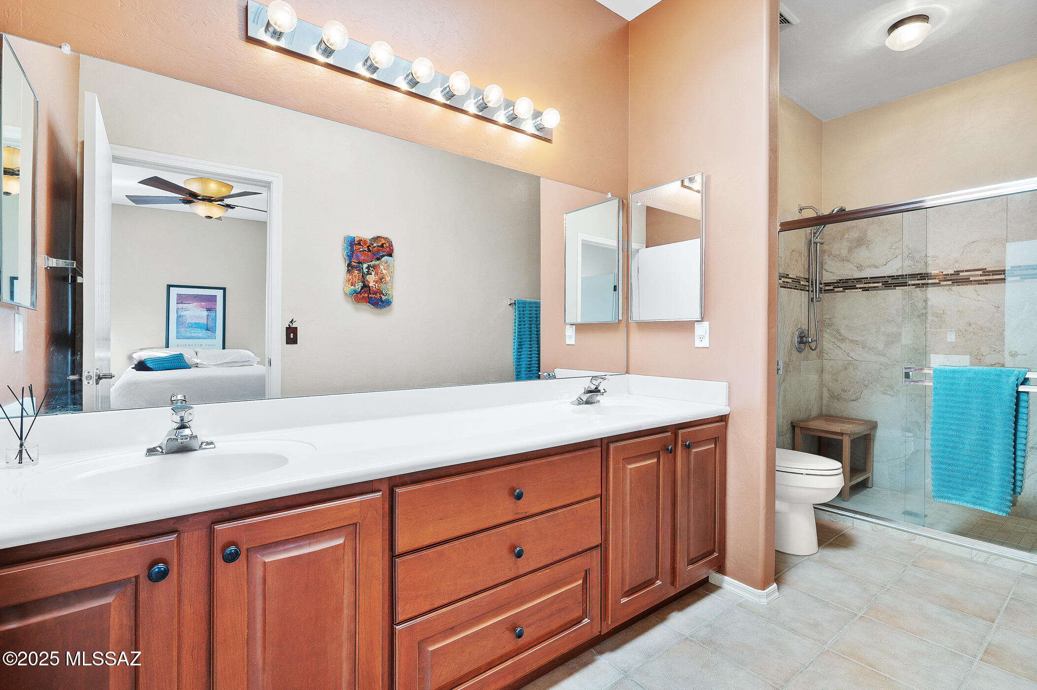 4619 S Camino Del Tejon