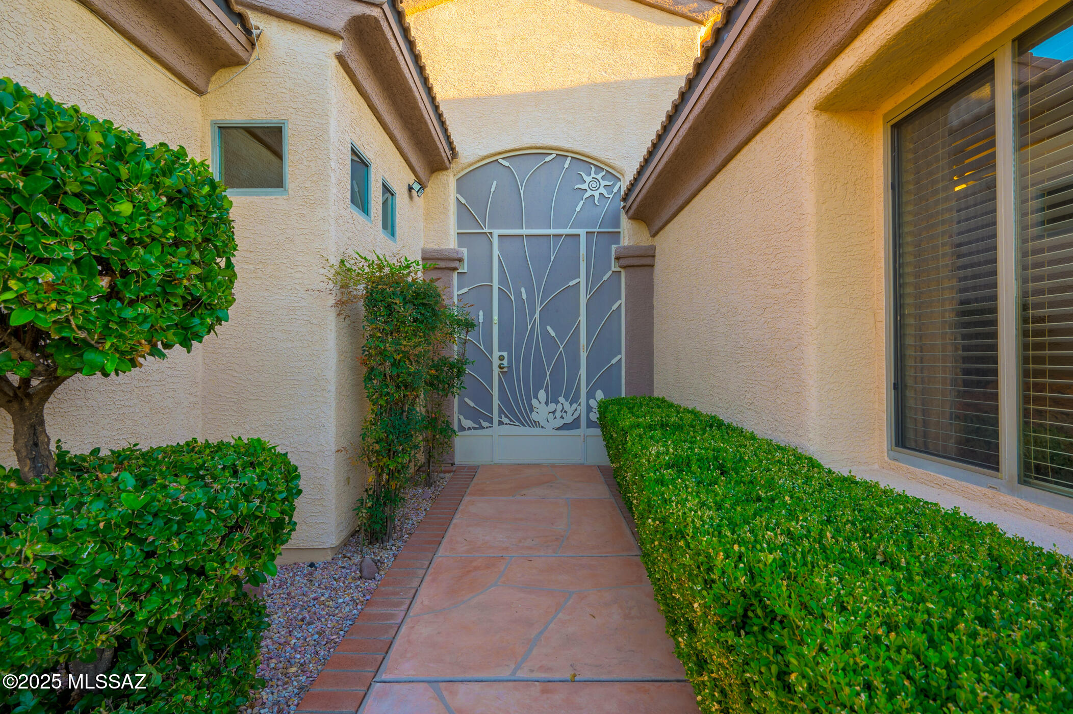 1809 W Calle Casas Lindas