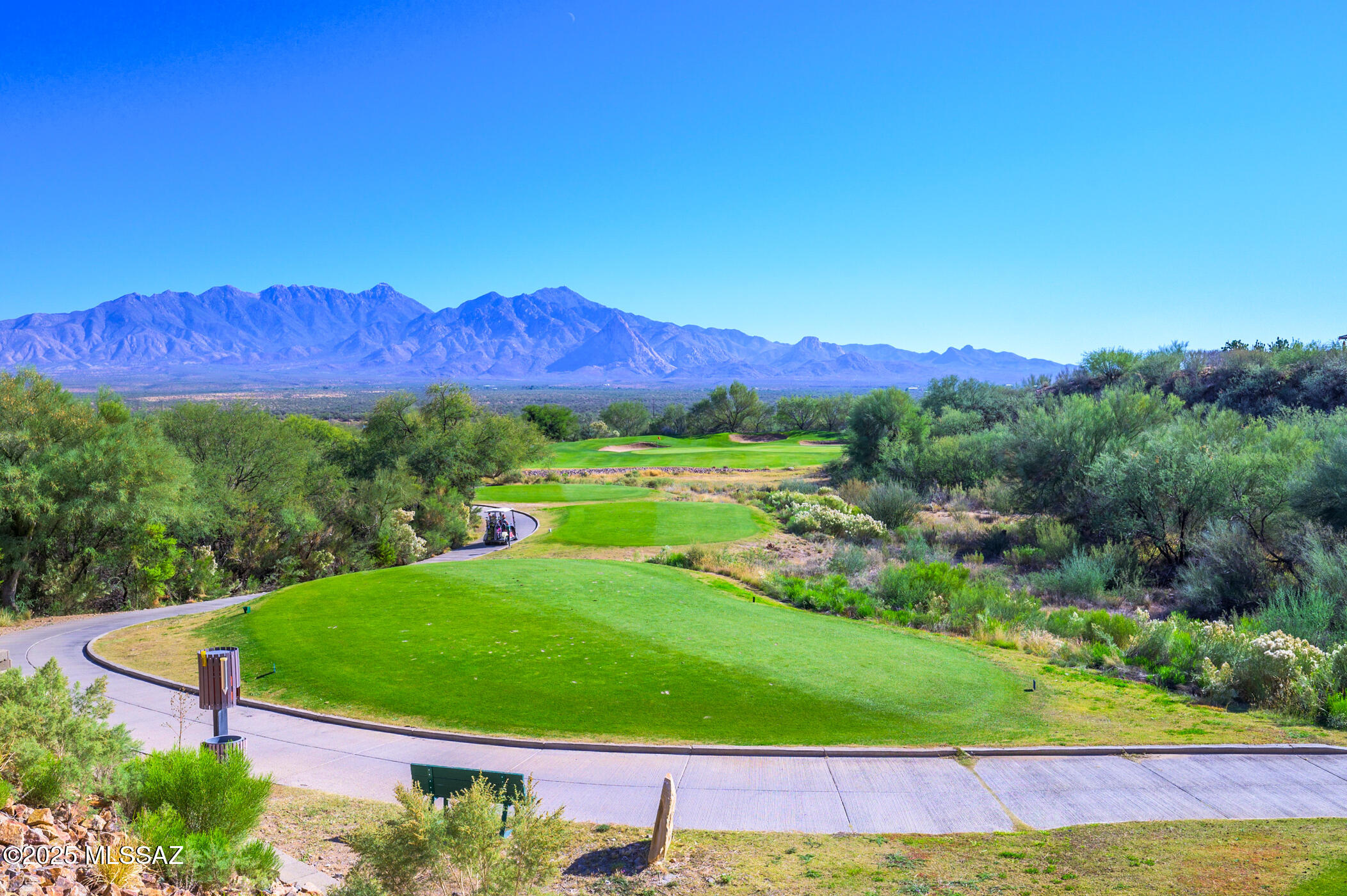 1797 W Placita Canoa Azul