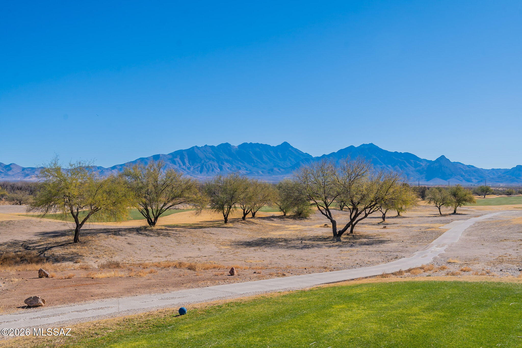 3809 S Camino Del Golfista