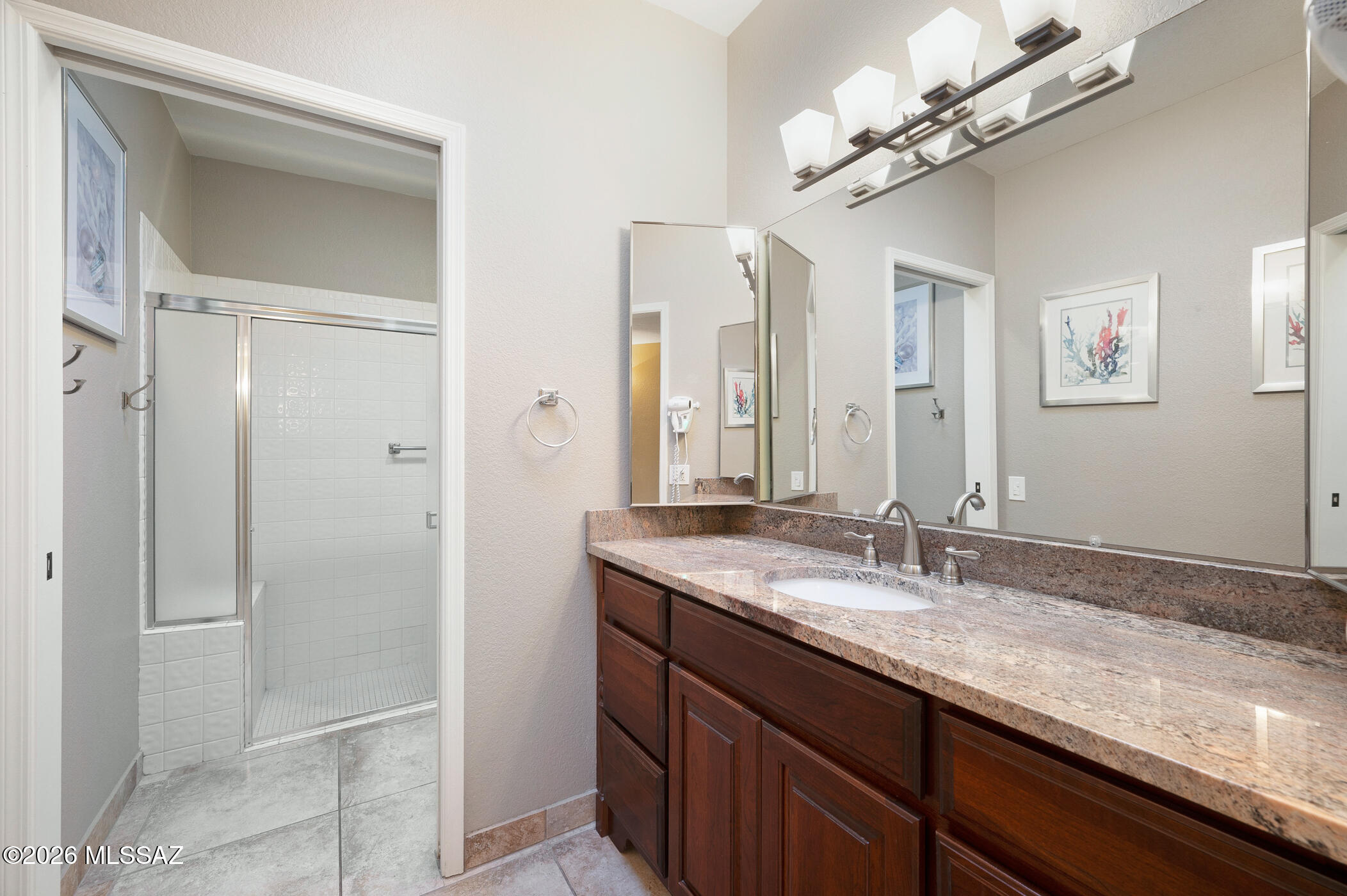 3841 S Placita De La Moneda