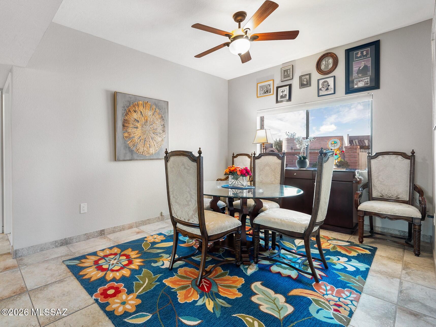 3841 S Placita De La Moneda