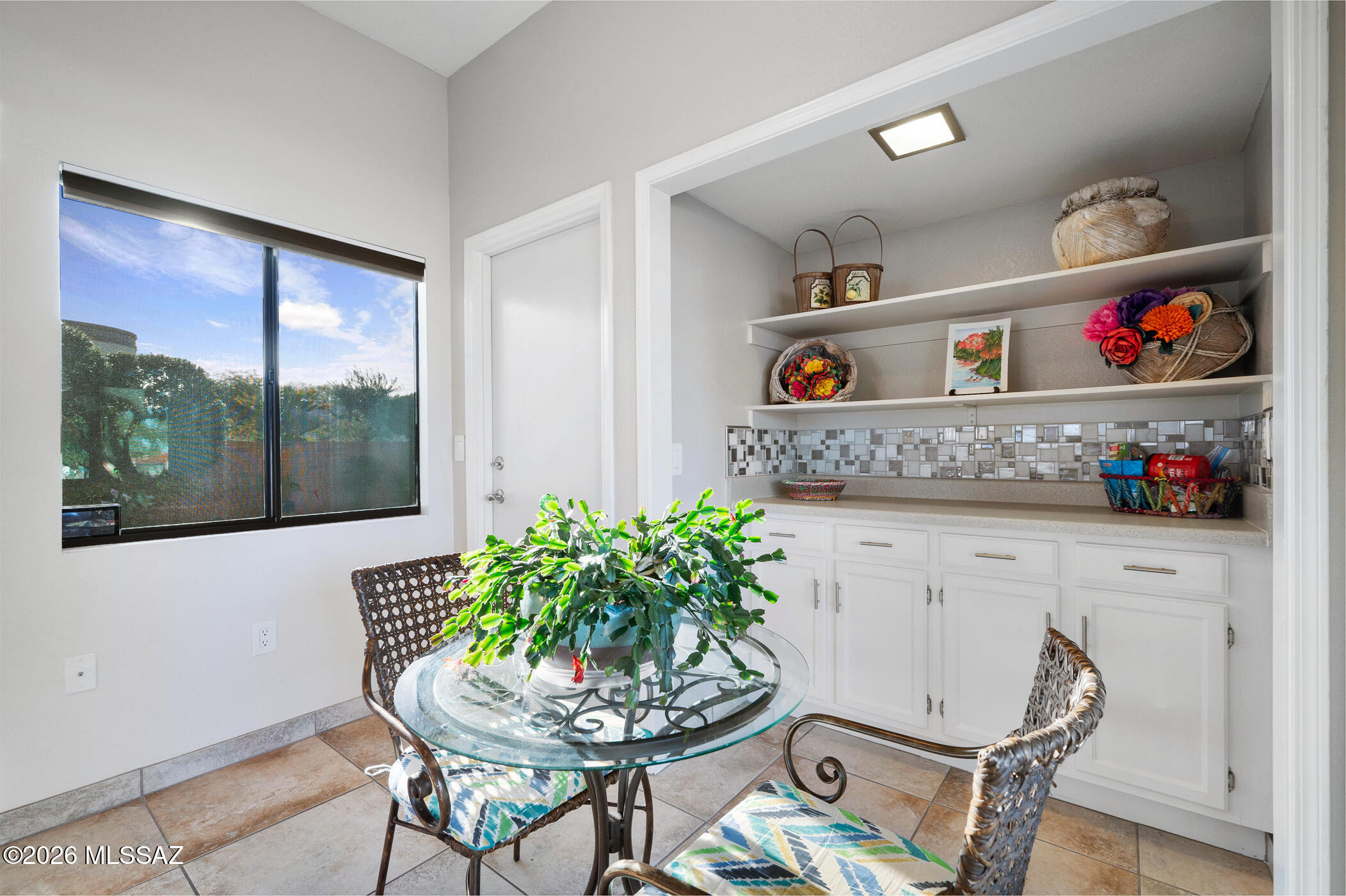 3841 S Placita De La Moneda