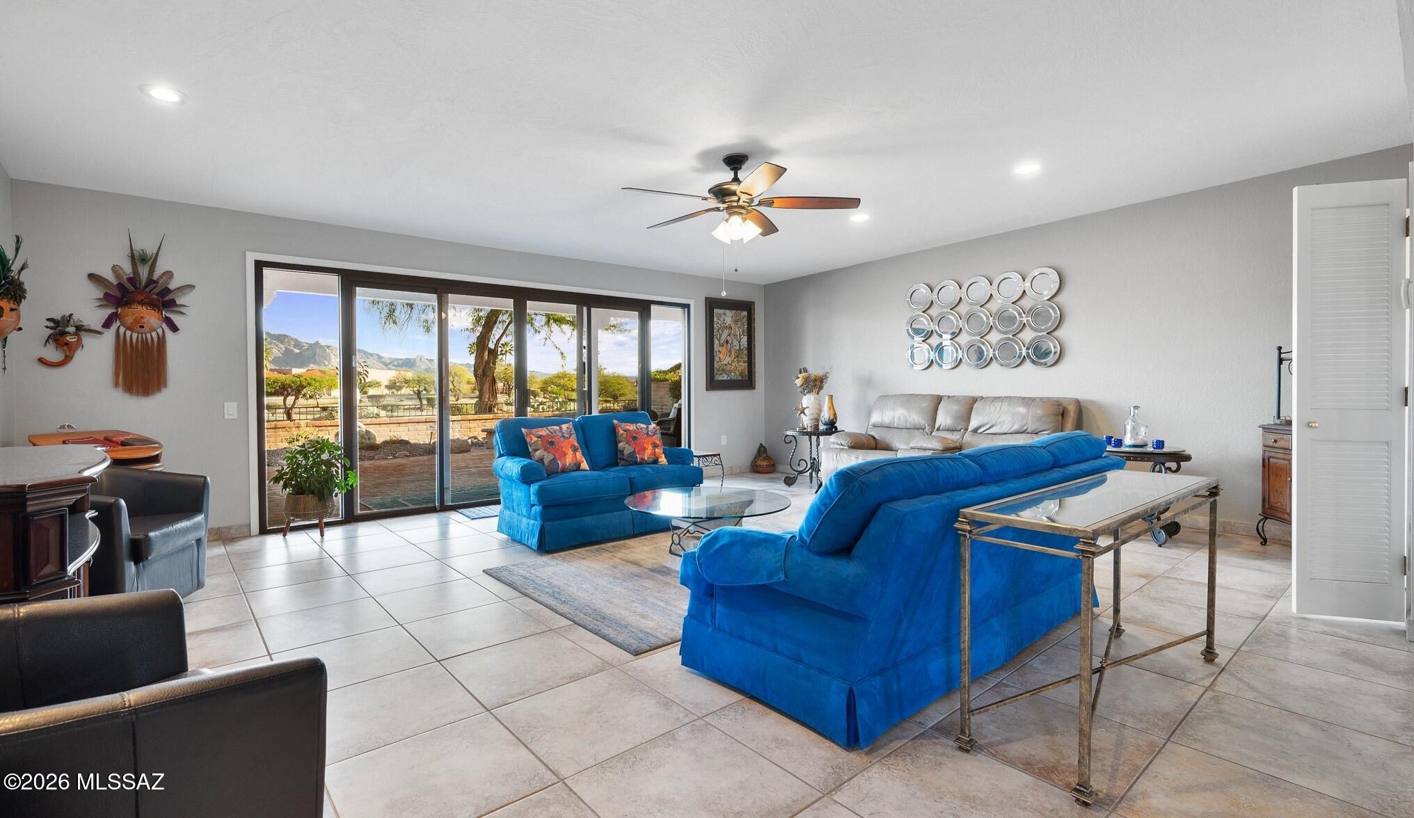 3841 S Placita De La Moneda