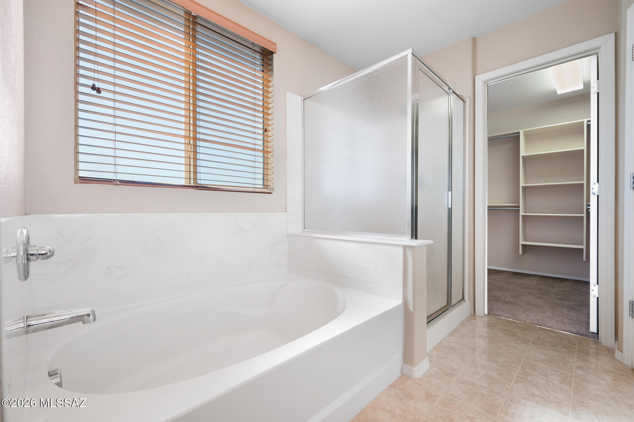 476 W Paseo Celestial