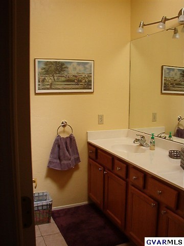 3617 S Paseo De Los Nardos