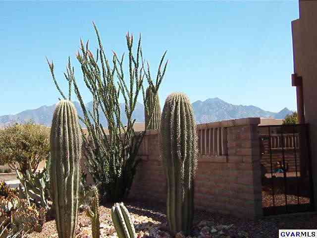 3617 S Paseo De Los Nardos