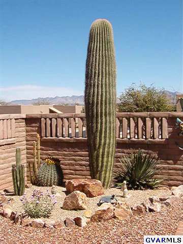 3617 S Paseo De Los Nardos