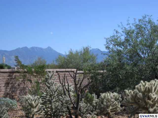 906 E Florida Saddle