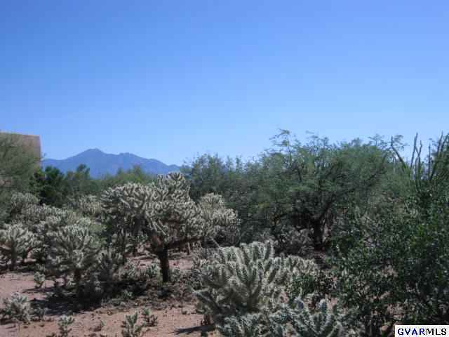 906 E Florida Saddle