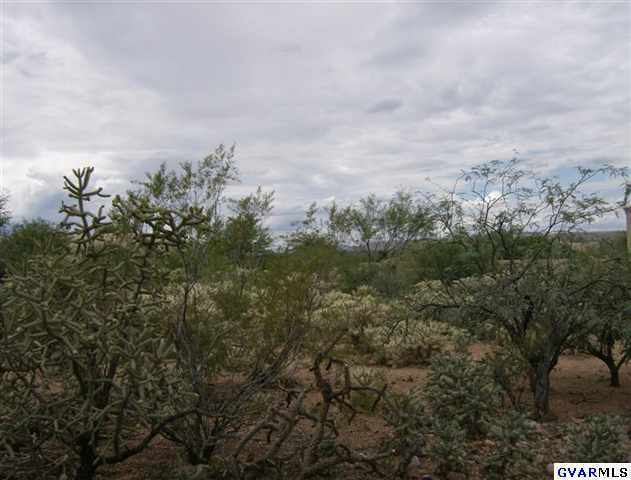 906 E Florida Saddle