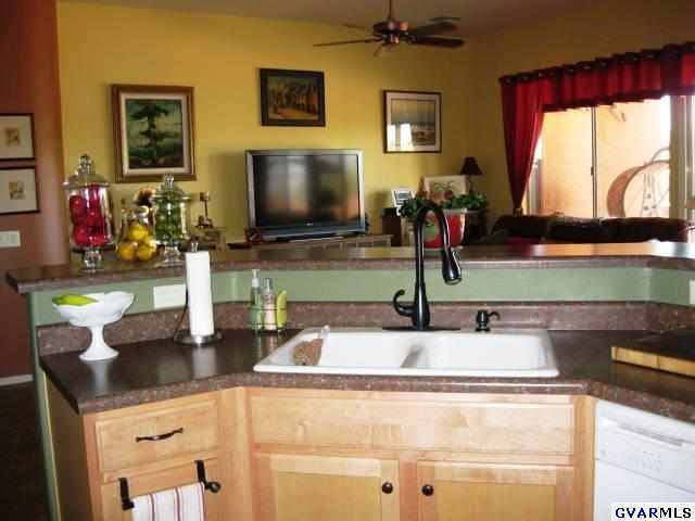 537 N Michelangelo Drive