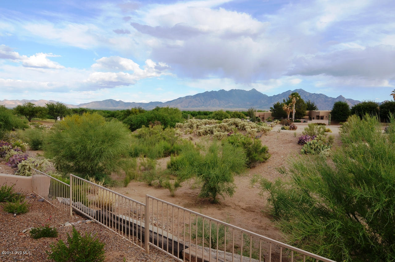 3919 S Camino Del Golfista