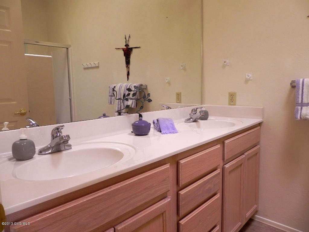 3877 S Camino Del Golfista