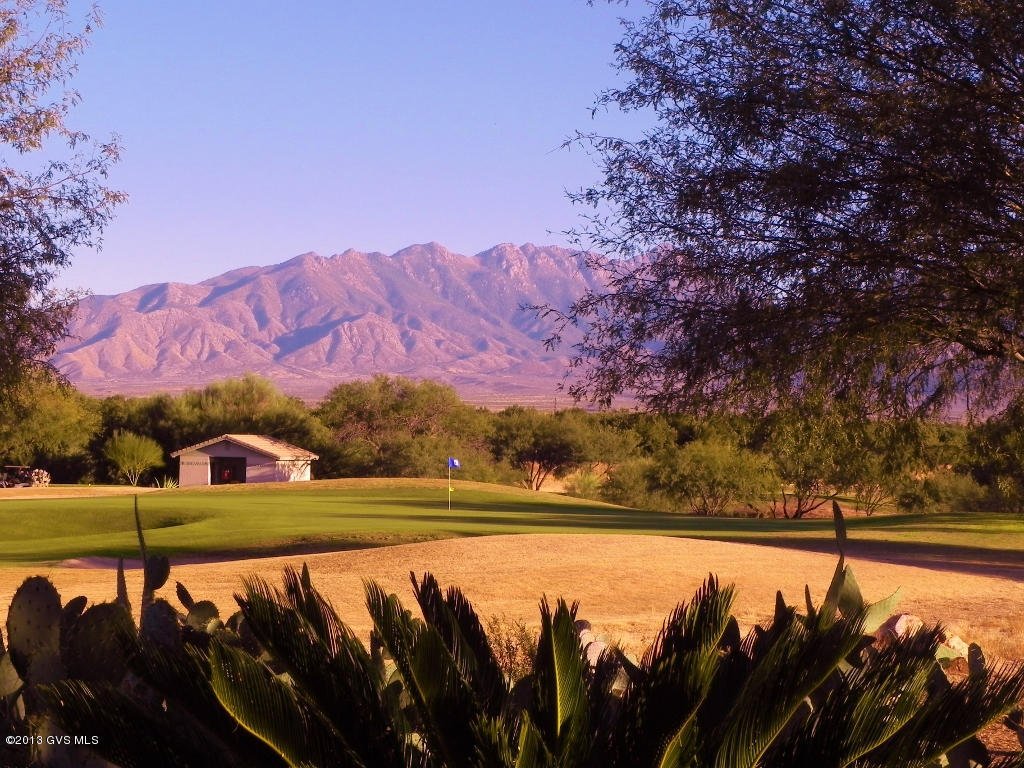 3877 S Camino Del Golfista