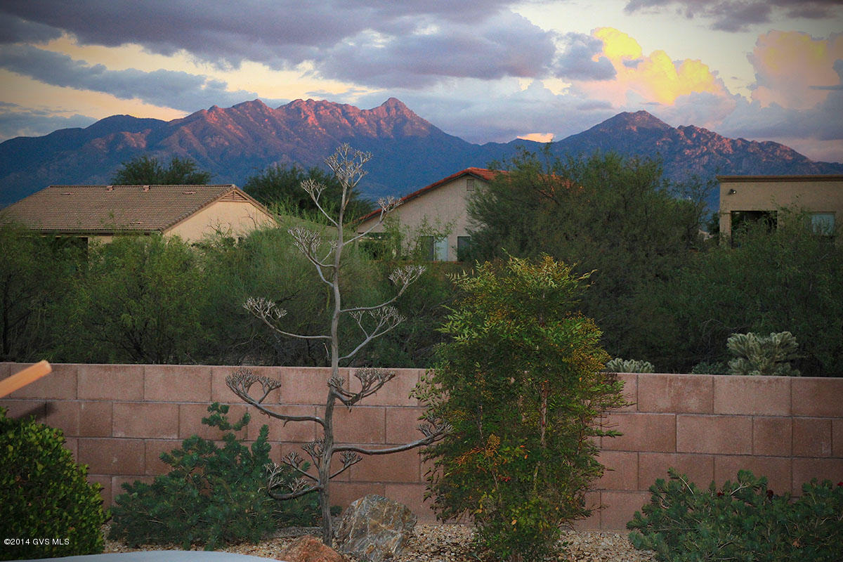 1091 W Mountain Nugget Drive