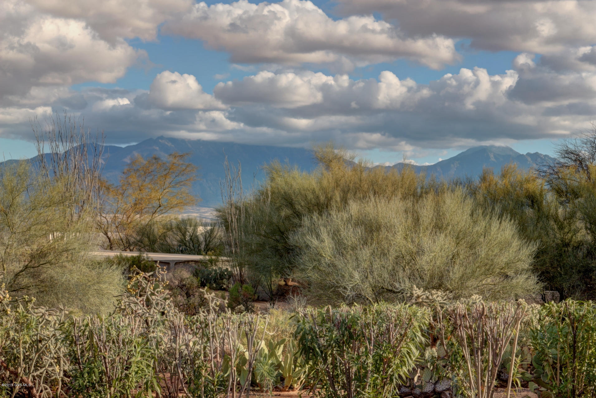 714 W Calle De Emilia