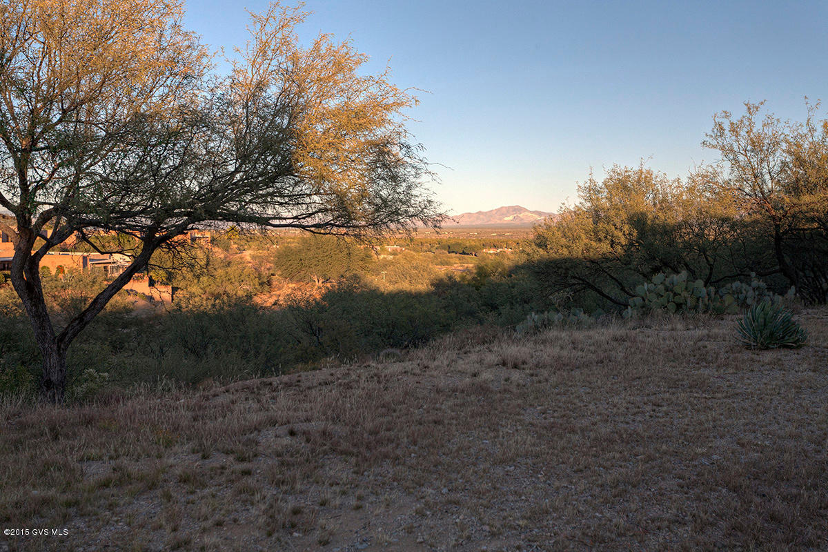 1060 W Camino Del Pato